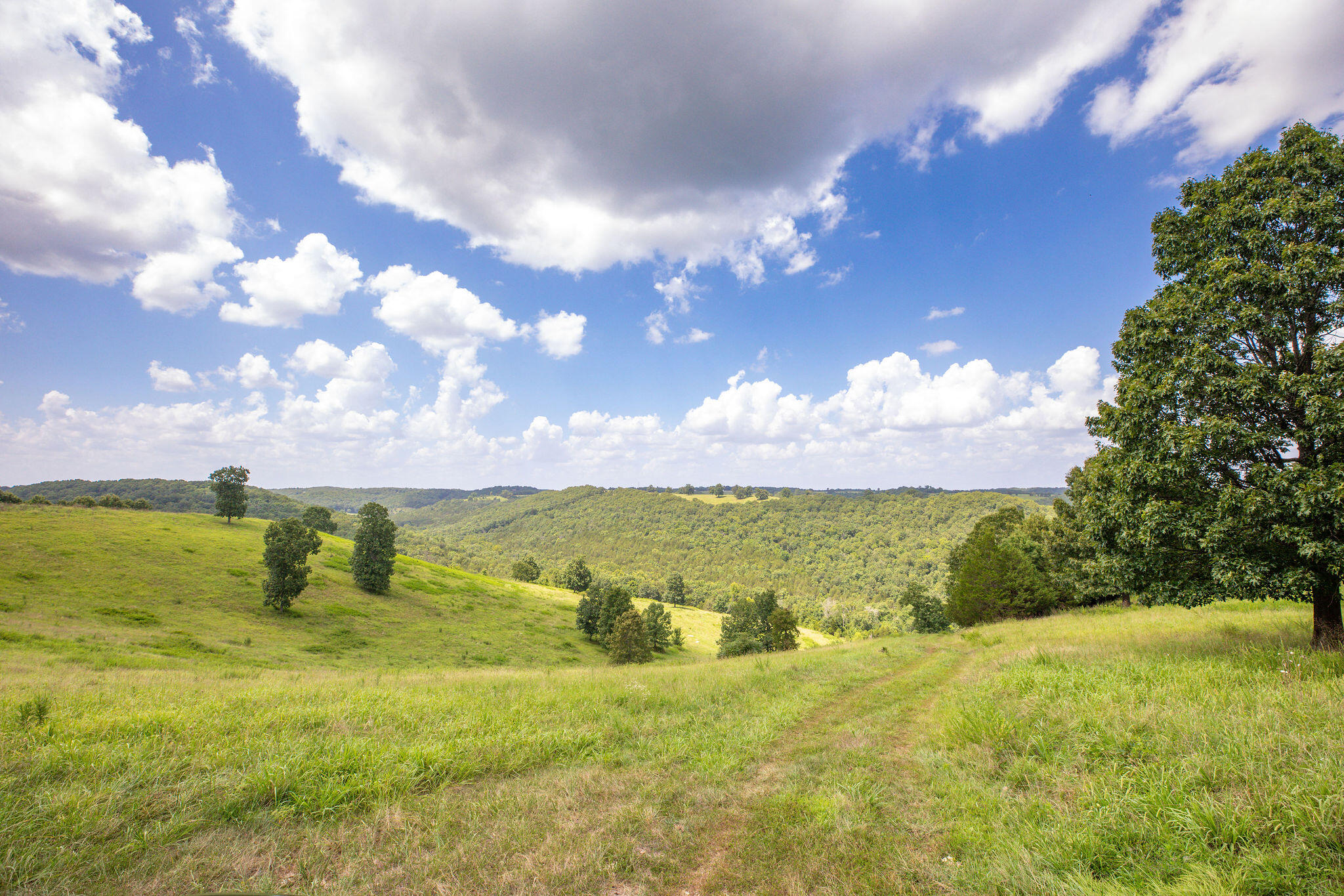 Tbd Dewdrop Road Property Photo 16