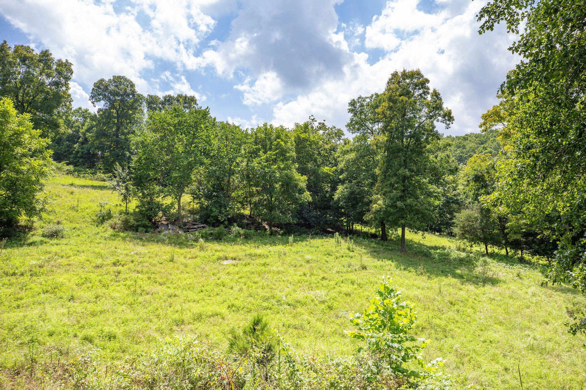 Tbd Dewdrop Road Property Photo 19