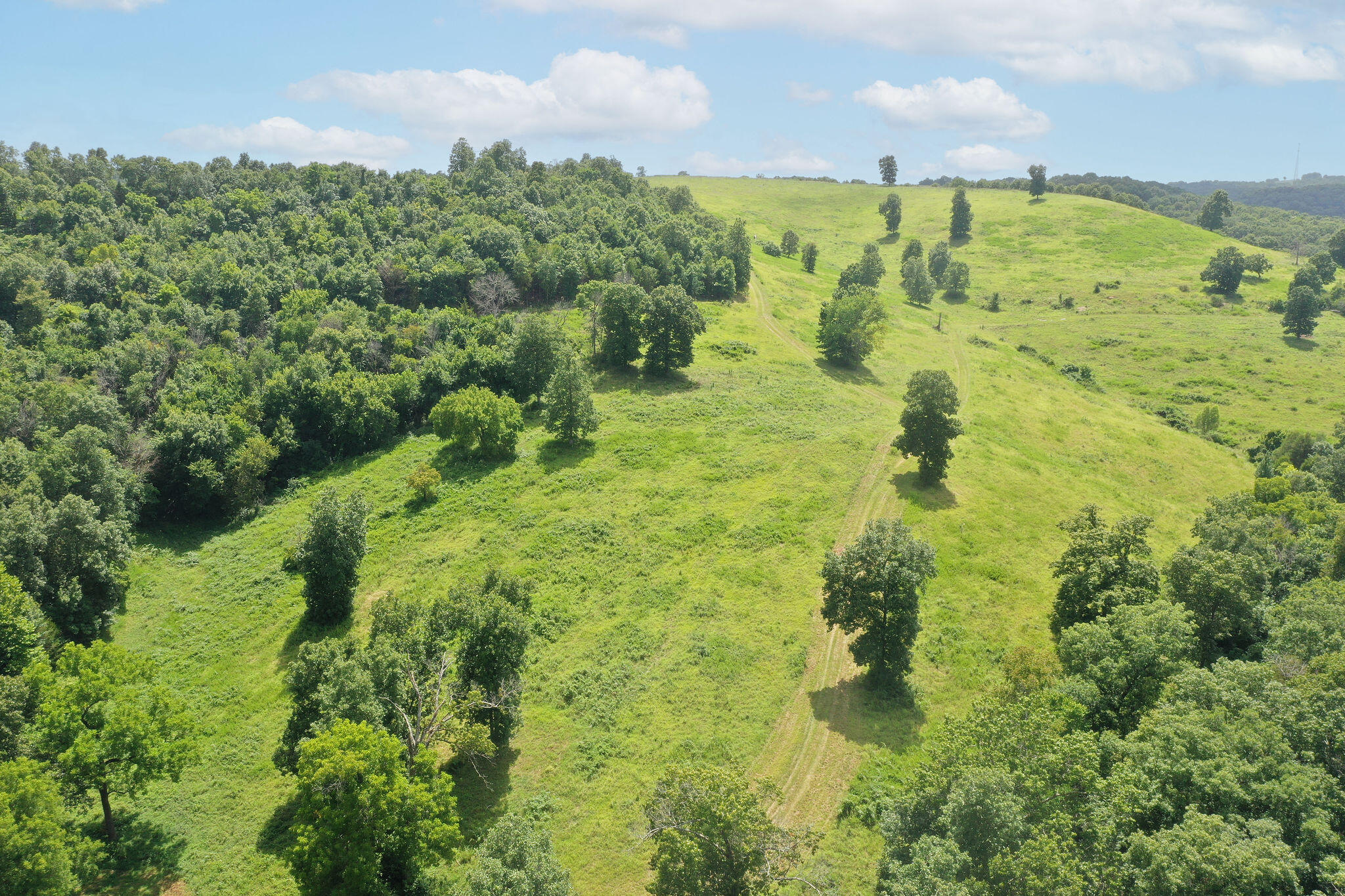 Tbd Dewdrop Road Property Photo 41