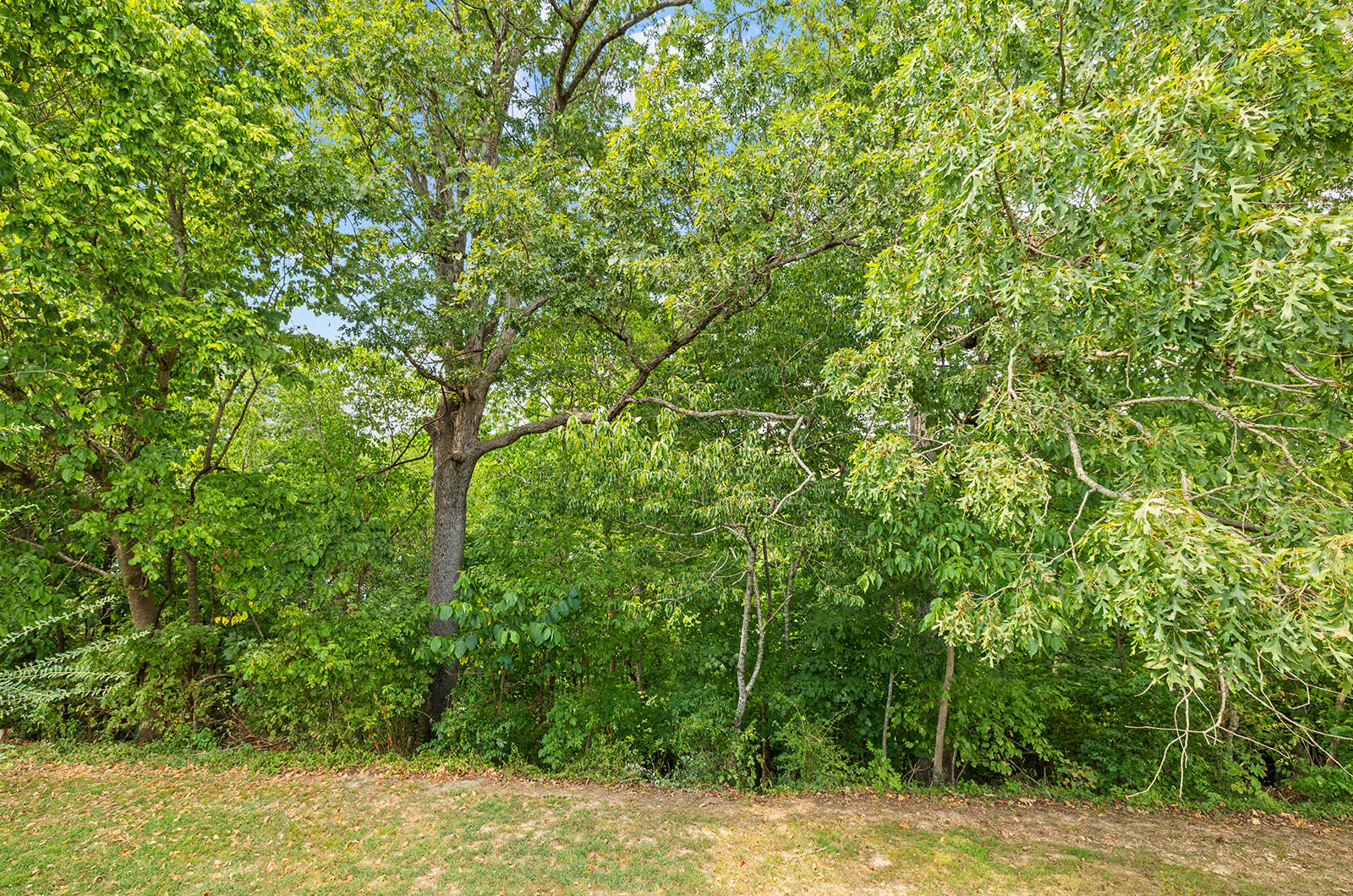 718 Baker Street Property Photo 45