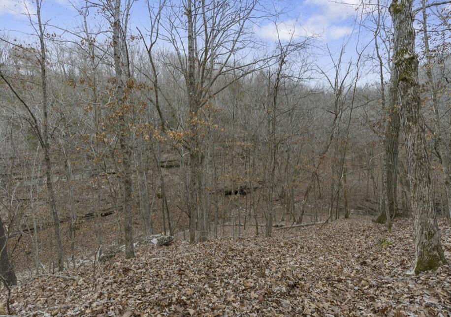893 Hidden Springs Lane Property Photo 81