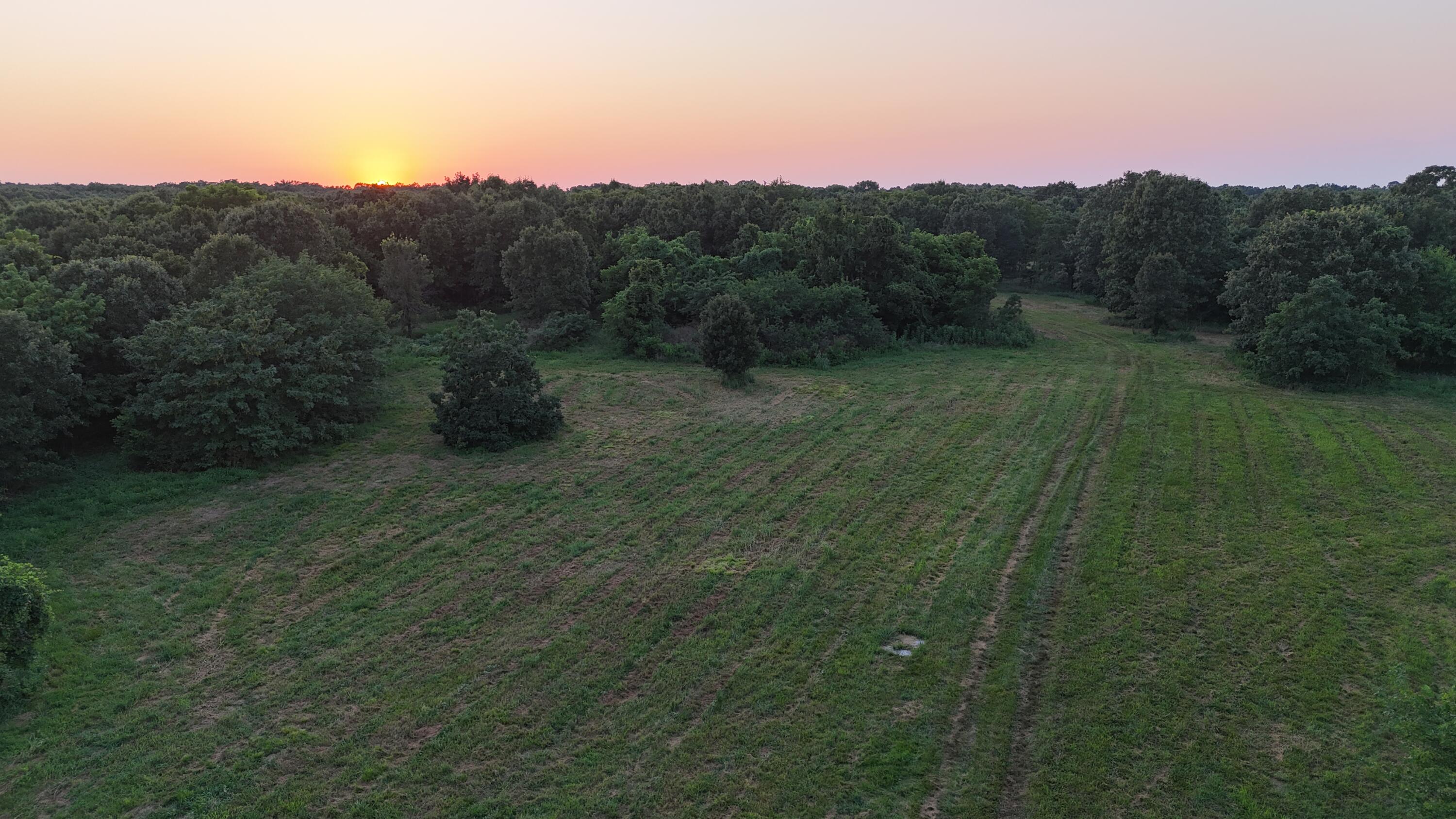 000 County Rd 2100 Property Photo 14