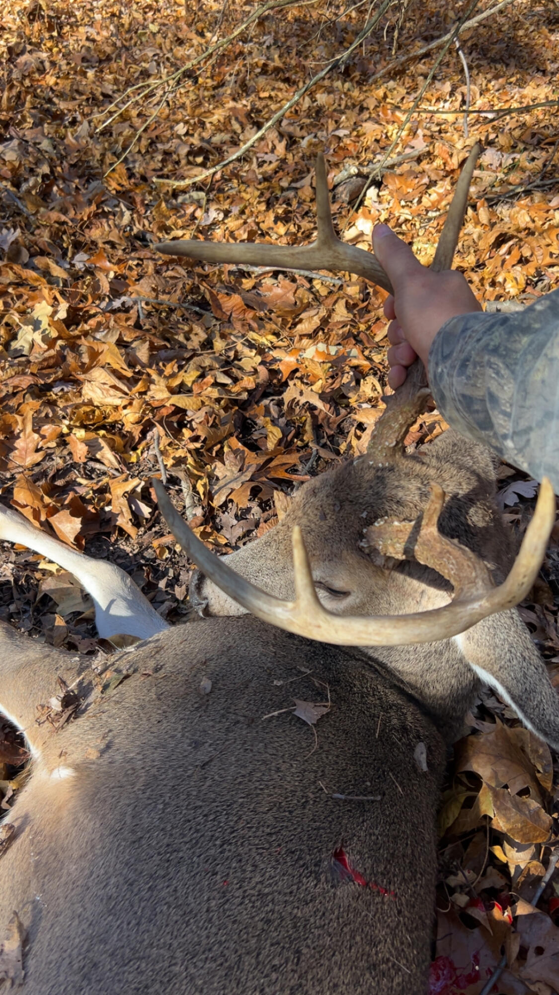 000 County Rd 2100 Property Photo 18