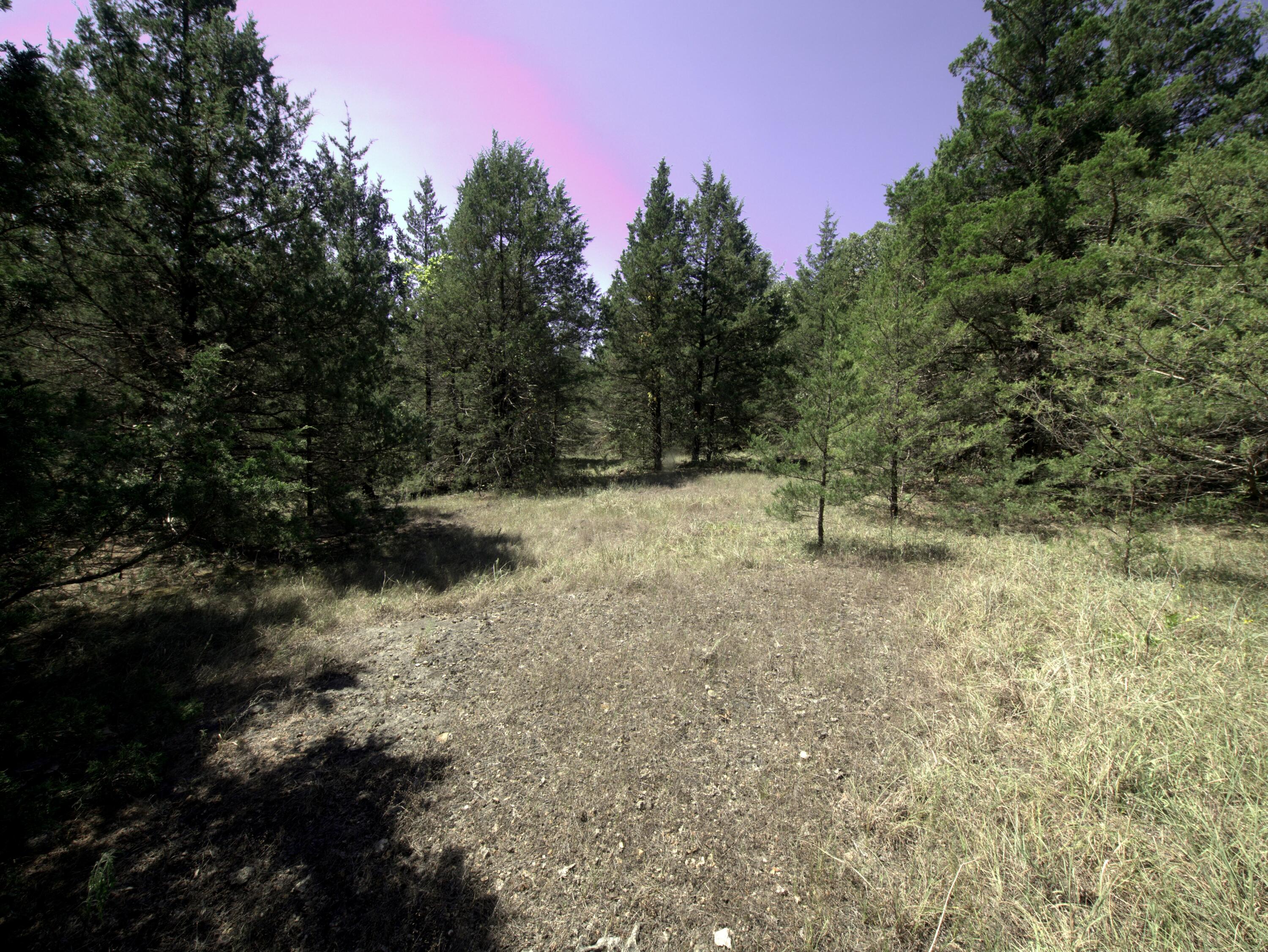 Tract 1 Simpson Road Property Photo 1