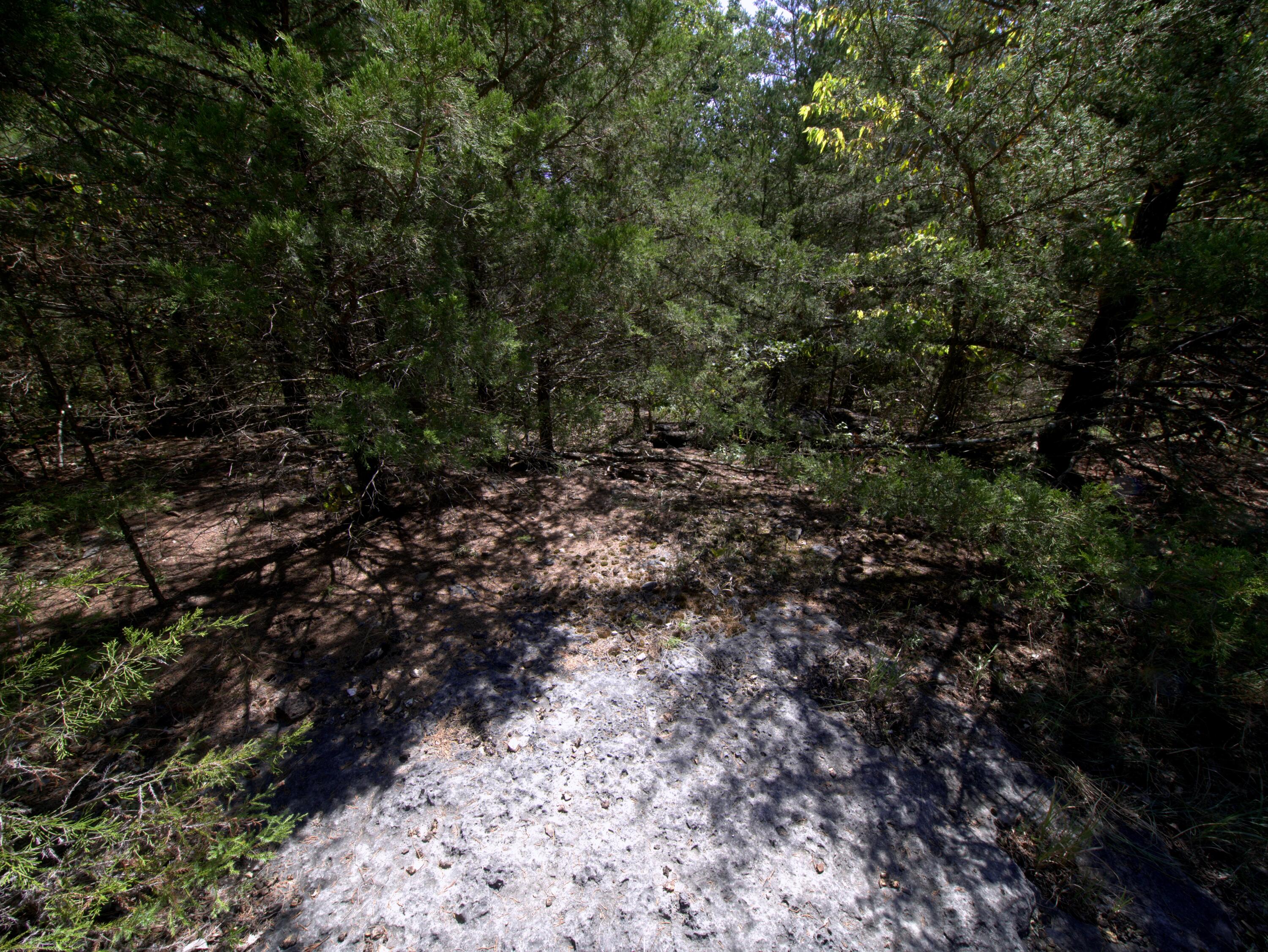Tract 2 Simpson Rd Property Photo 11