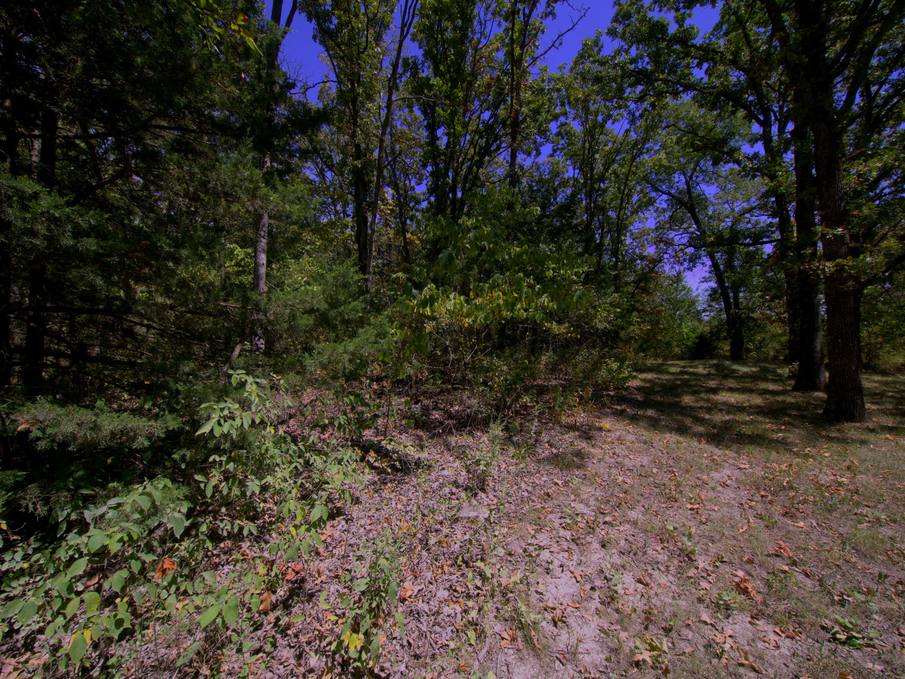 Tract 3 Simpson Rd Property Photo 1