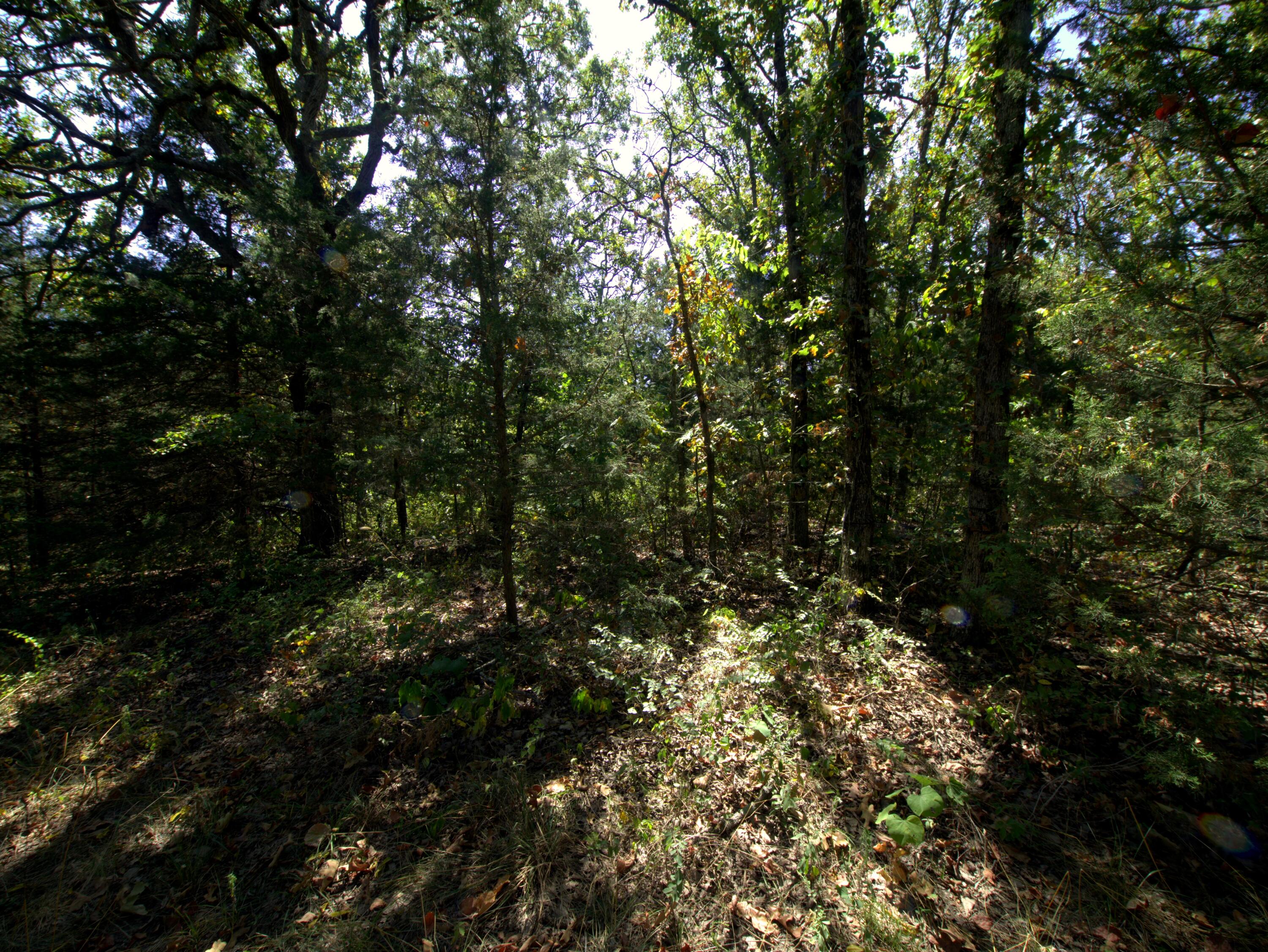 Tract 1&2 Simpson Rd Property Photo 1