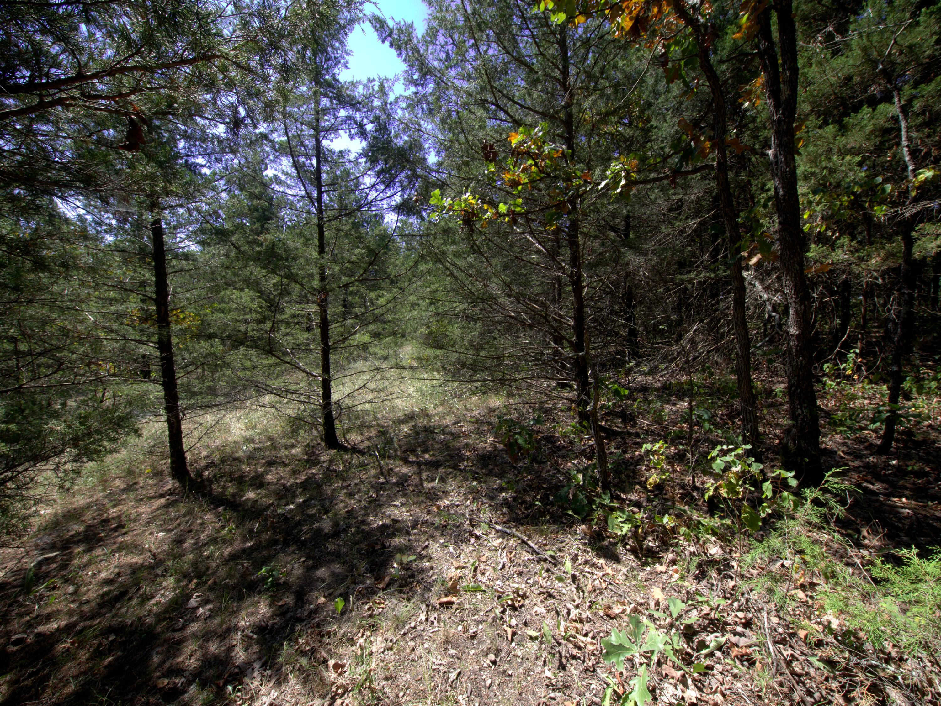 Tract 2&3 Simpson Rd Property Photo 2