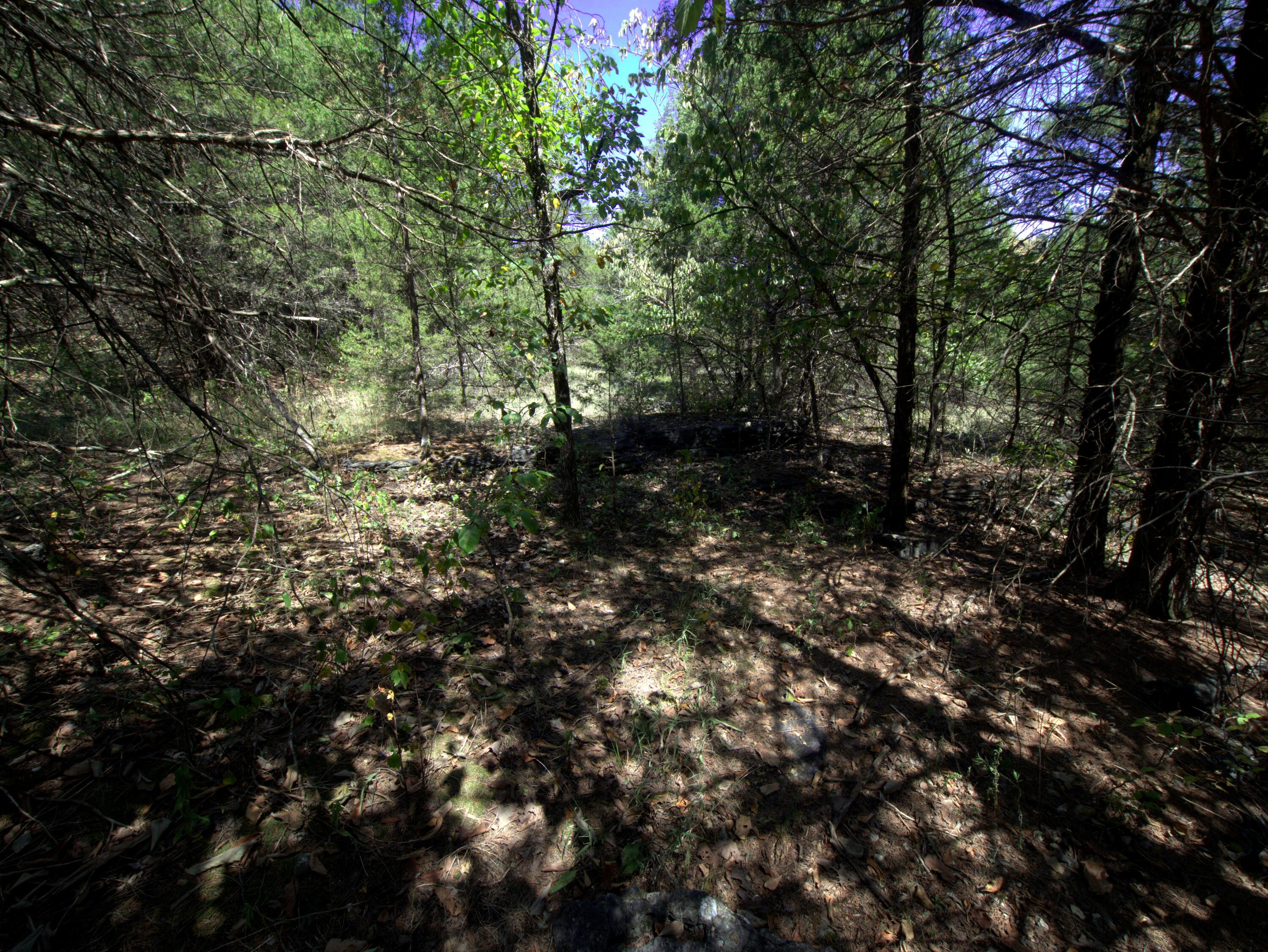 Tract 2&3 Simpson Rd Property Photo 4