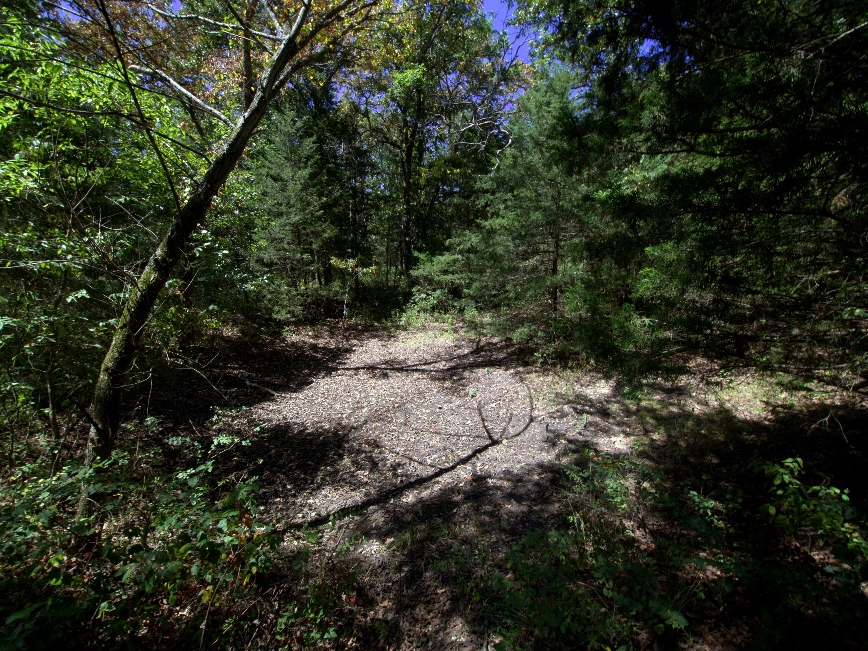 Tract 2&3 Simpson Rd Property Photo 11