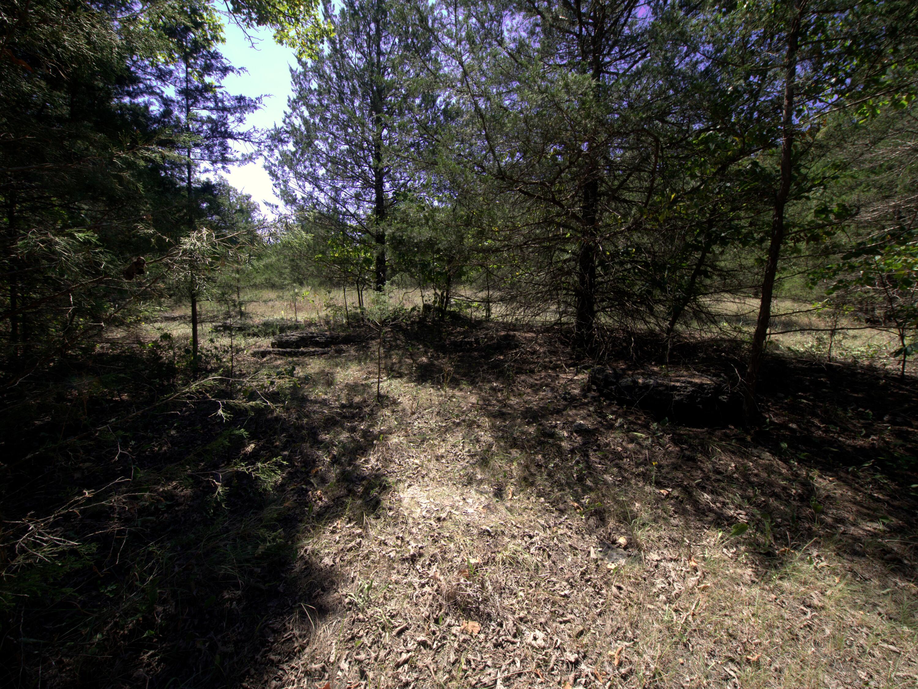 Tract 2&3 Simpson Rd Property Photo 19