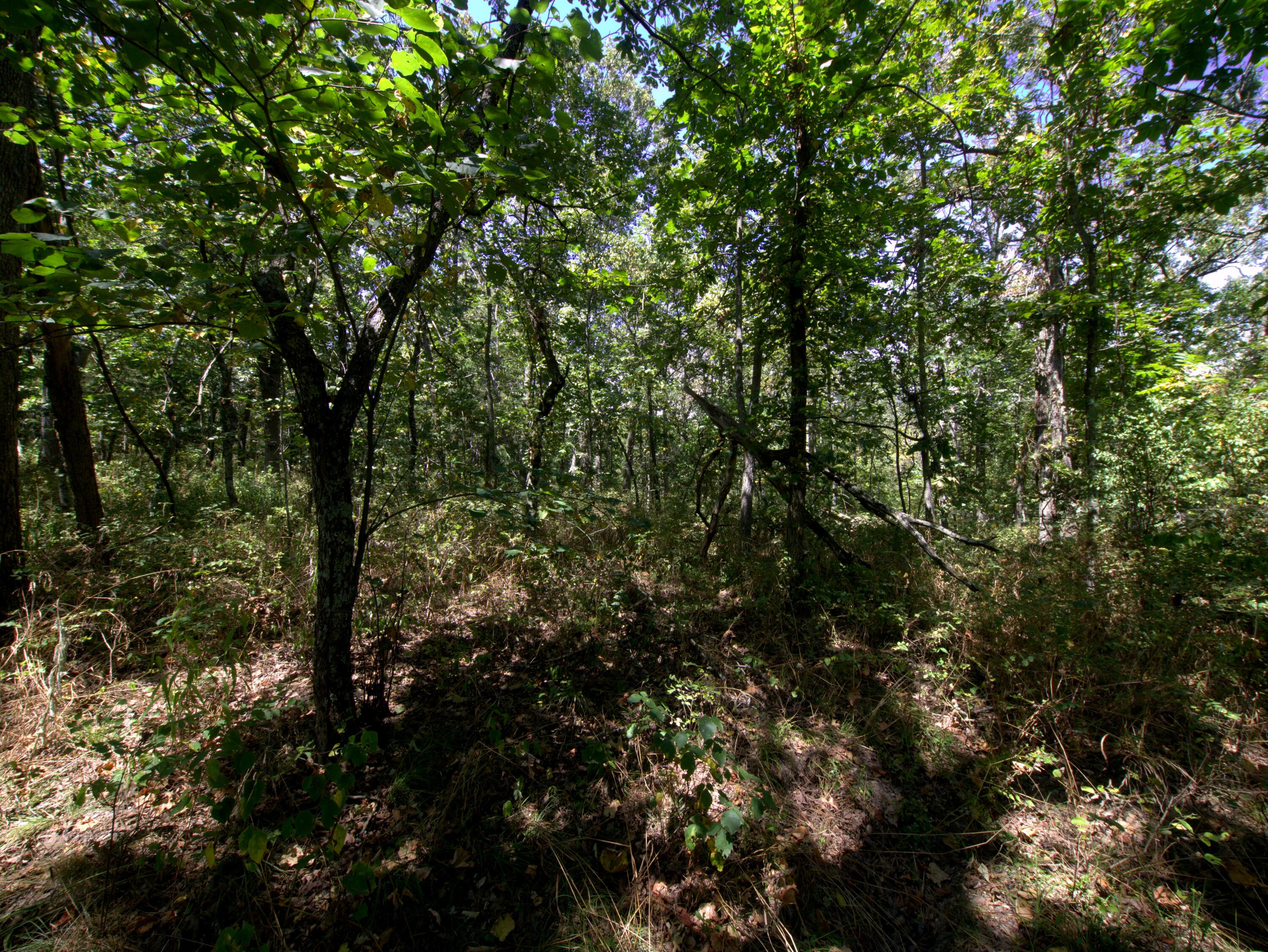 Tract 3&4 Simpson Rd Property Photo 1