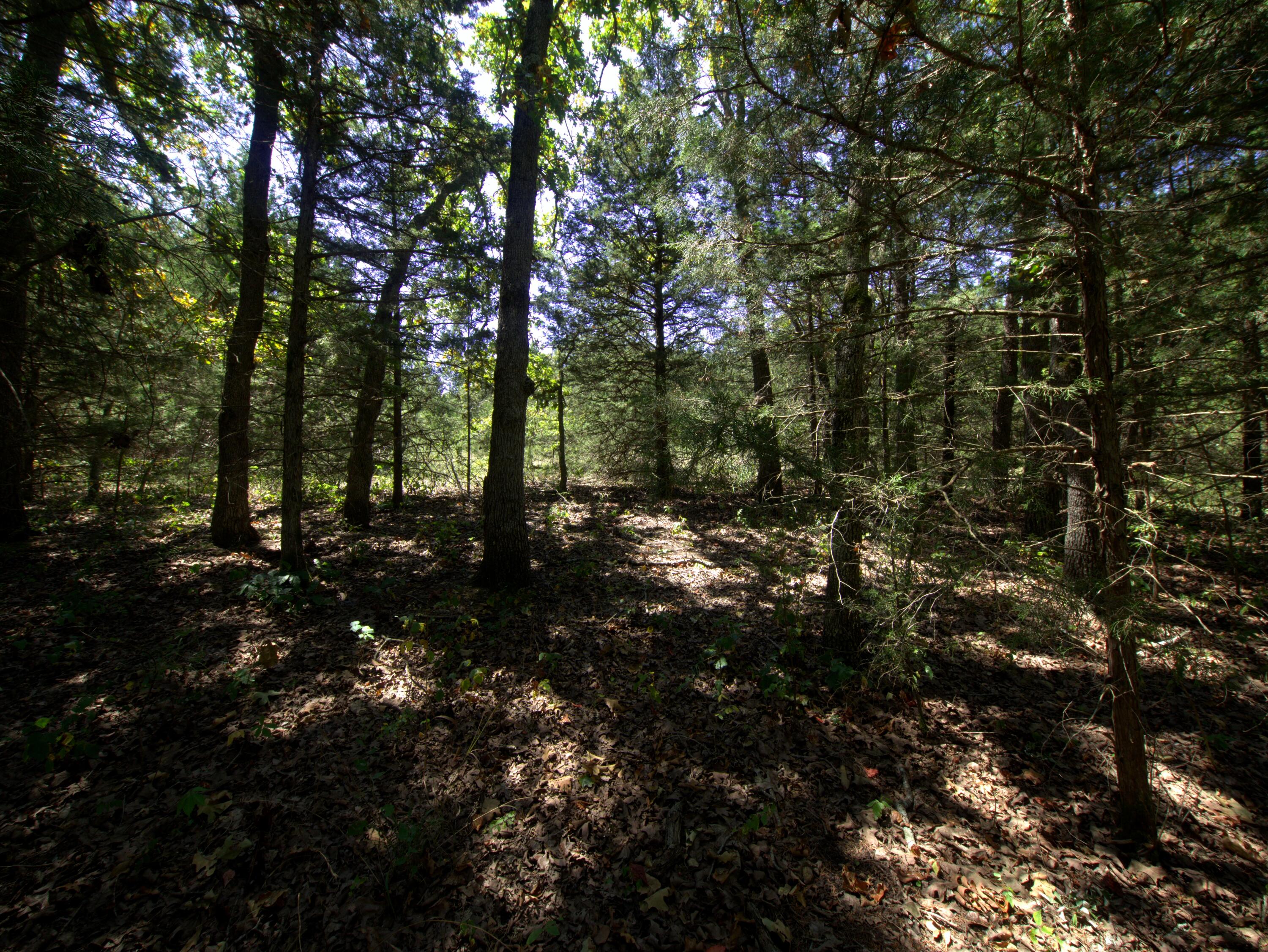 Tract 3&4 Simpson Rd Property Photo 2