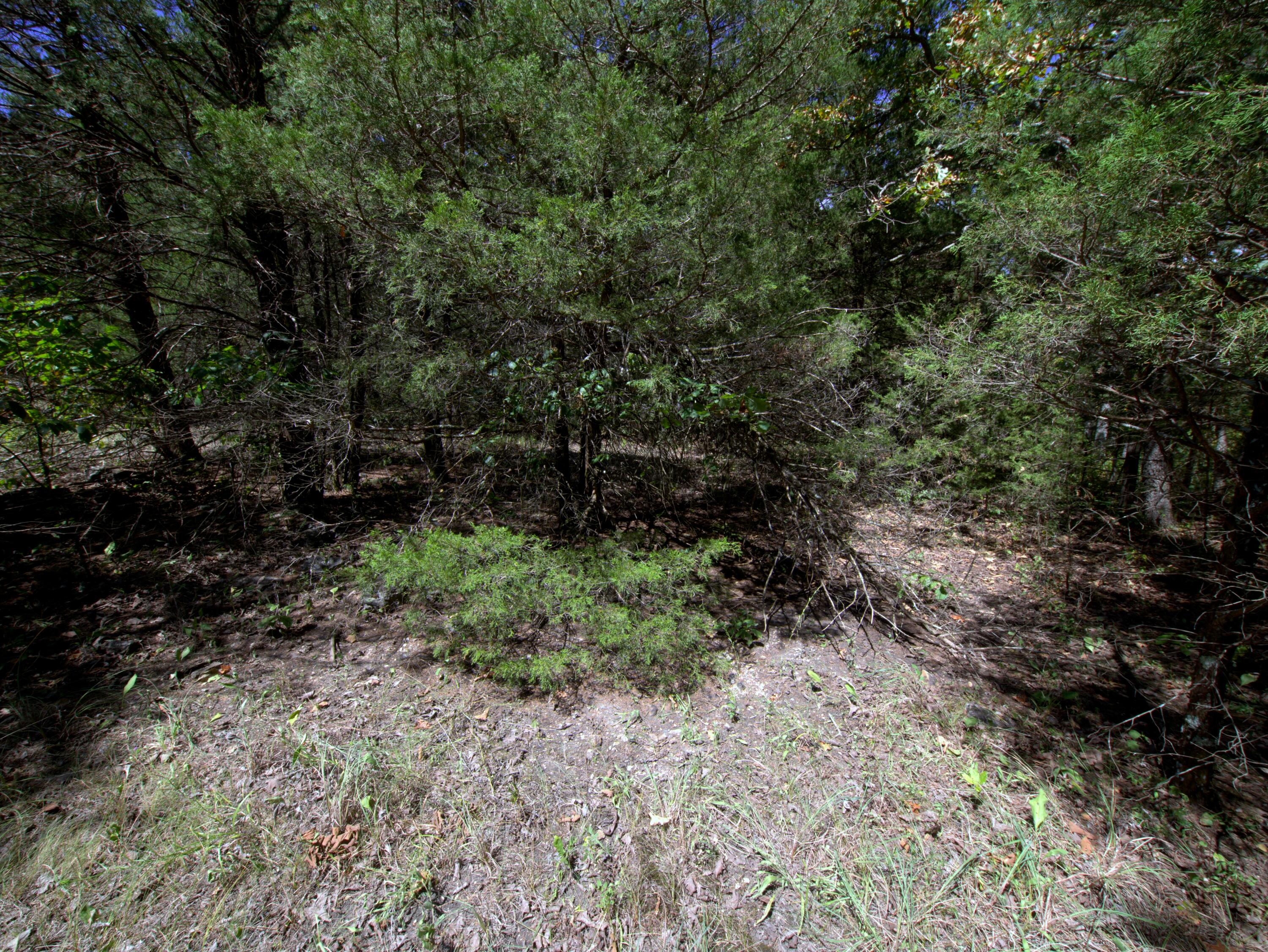 Tract 3&4 Simpson Rd Property Photo 8