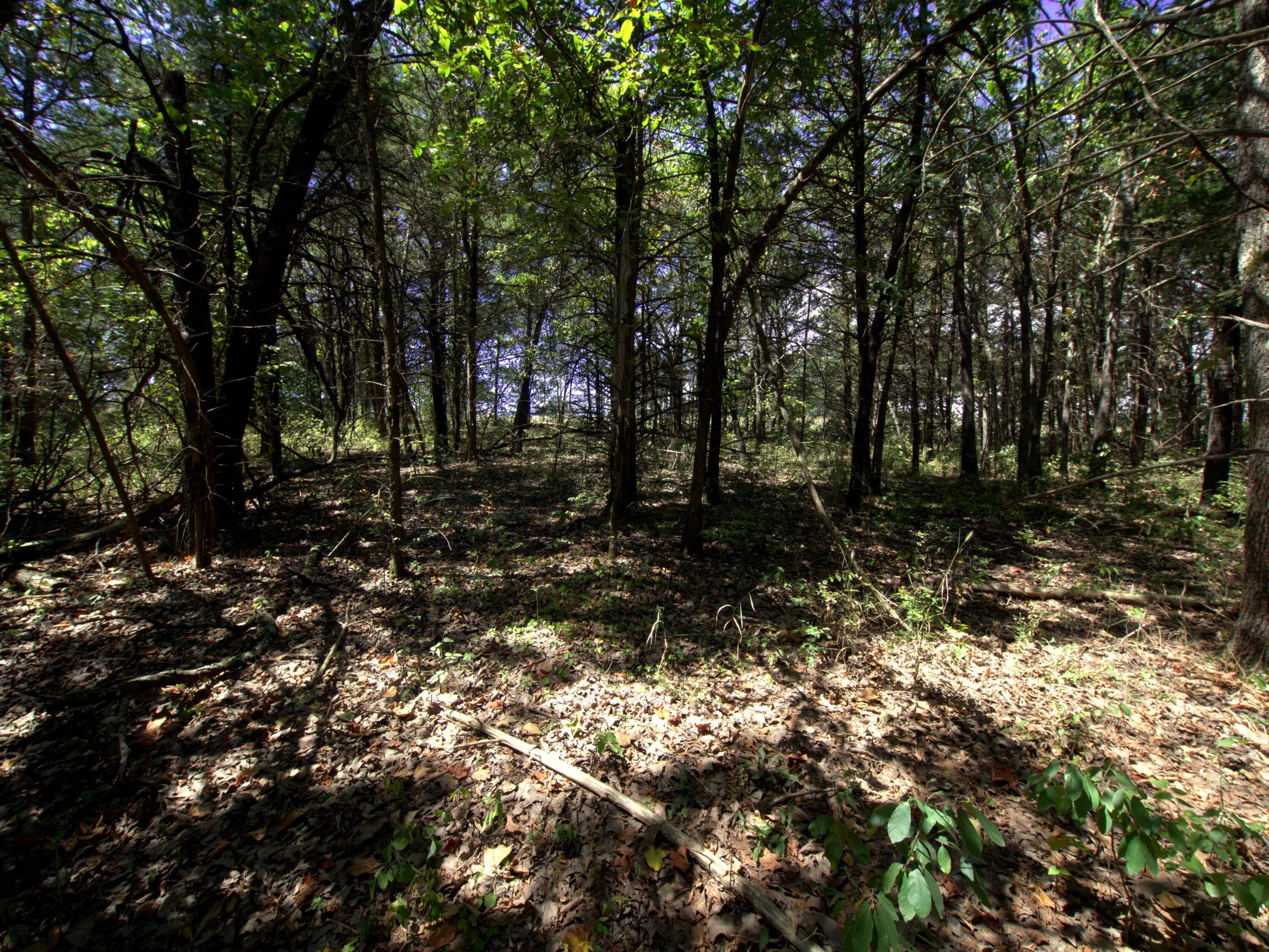 Tract 3&4 Simpson Rd Property Photo 11