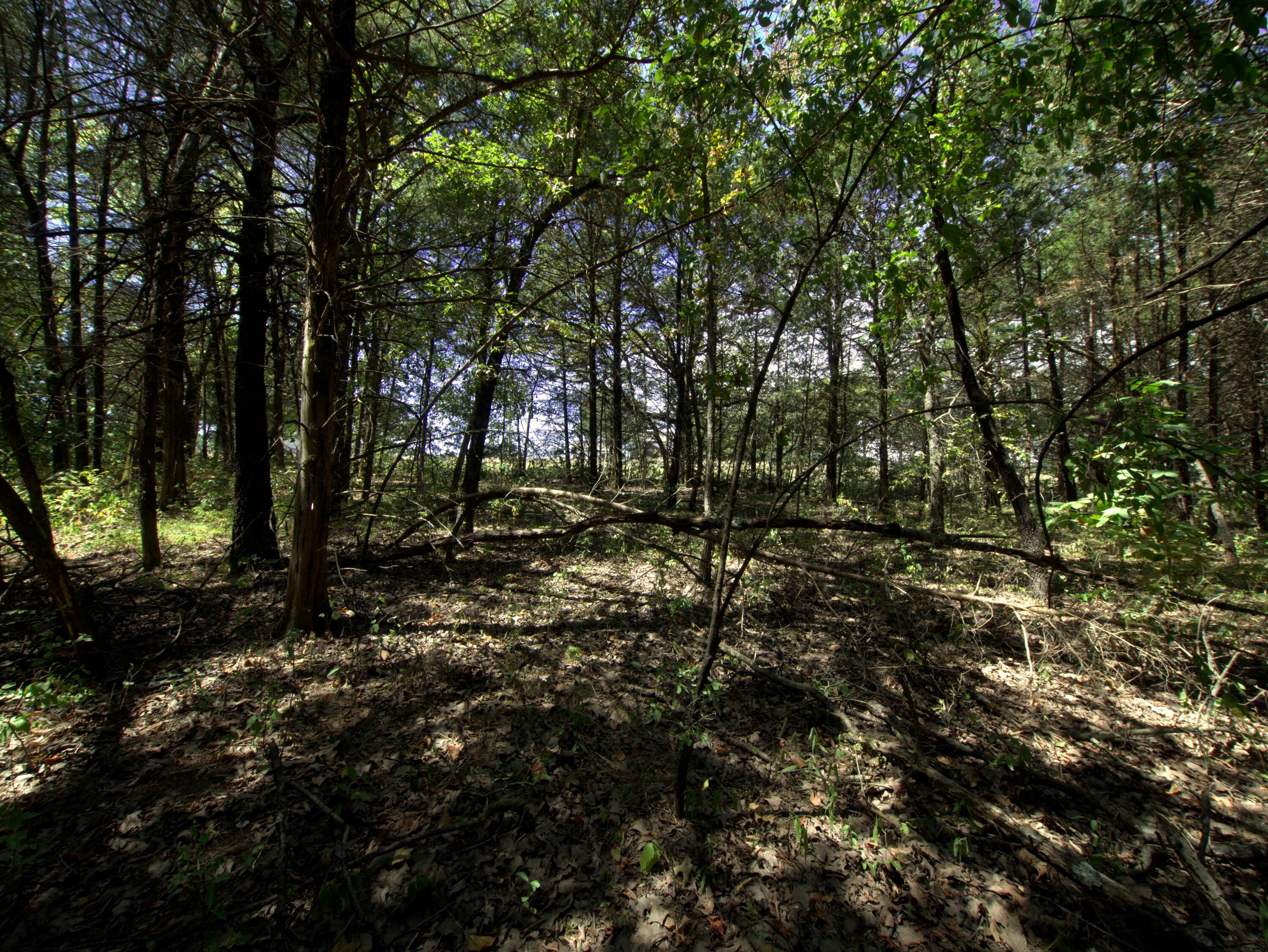 Tract 3&4 Simpson Rd Property Photo 12