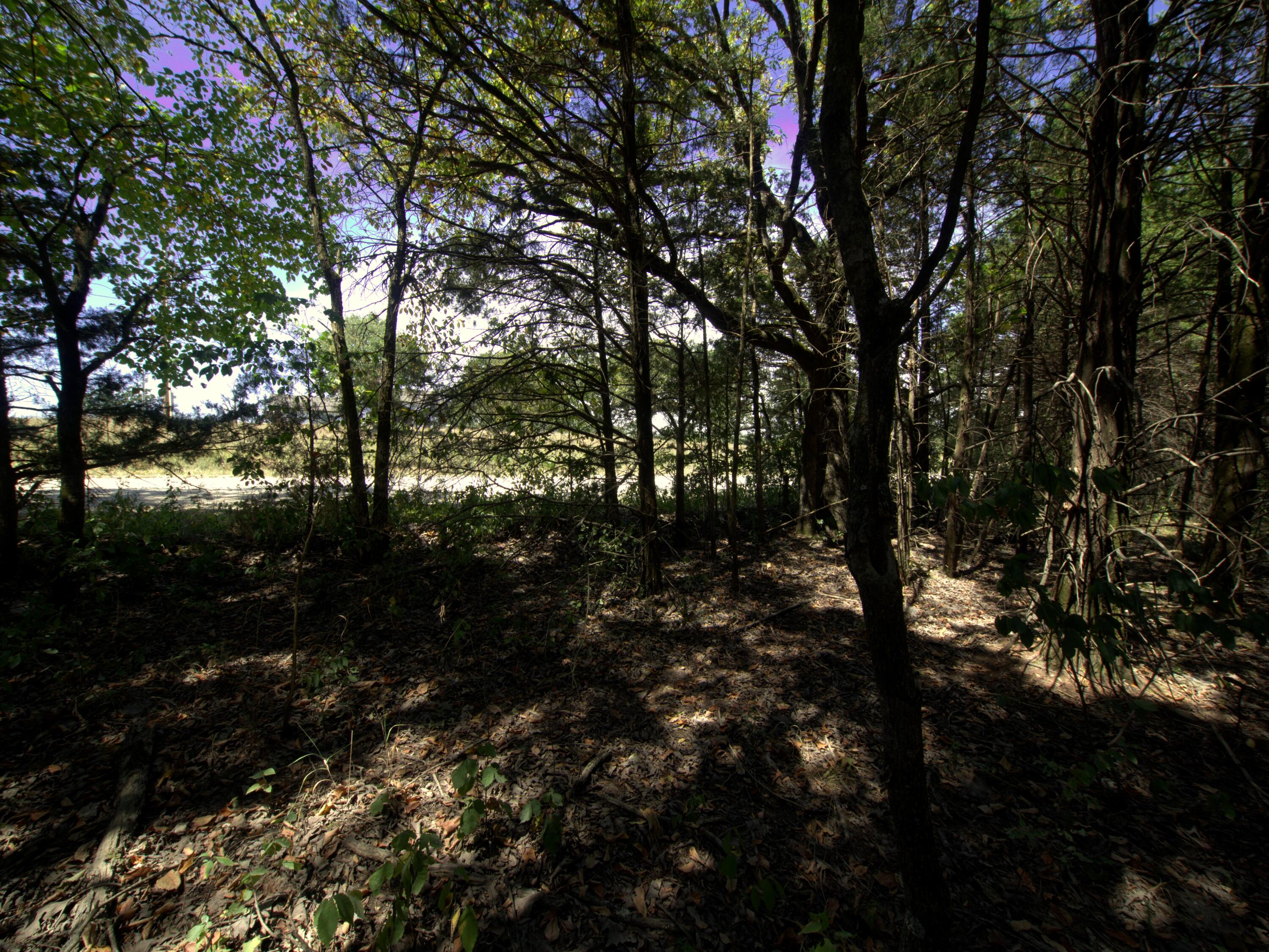 Tract 3&4 Simpson Rd Property Photo 13
