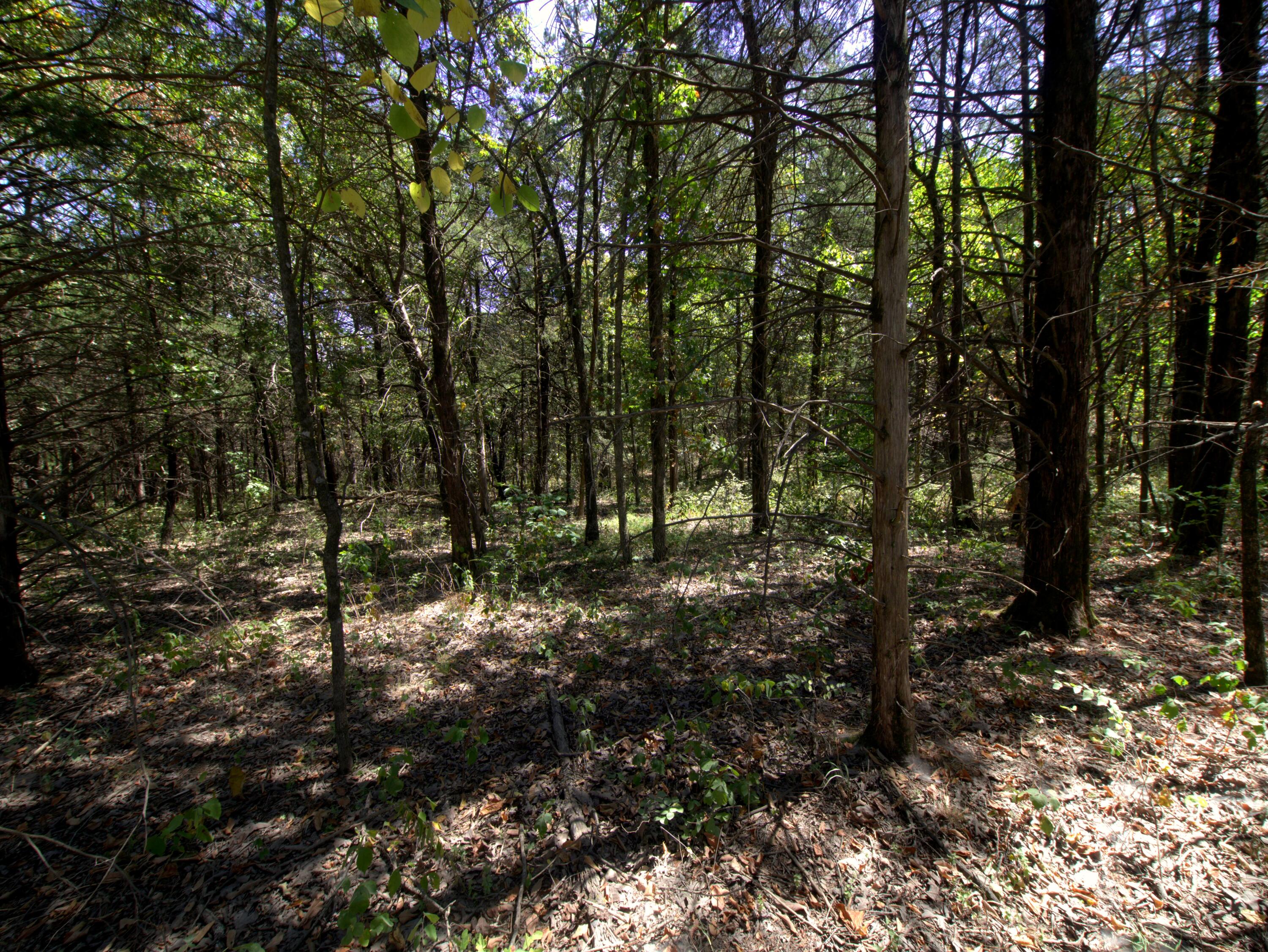 Tract 3&4 Simpson Rd Property Photo 14