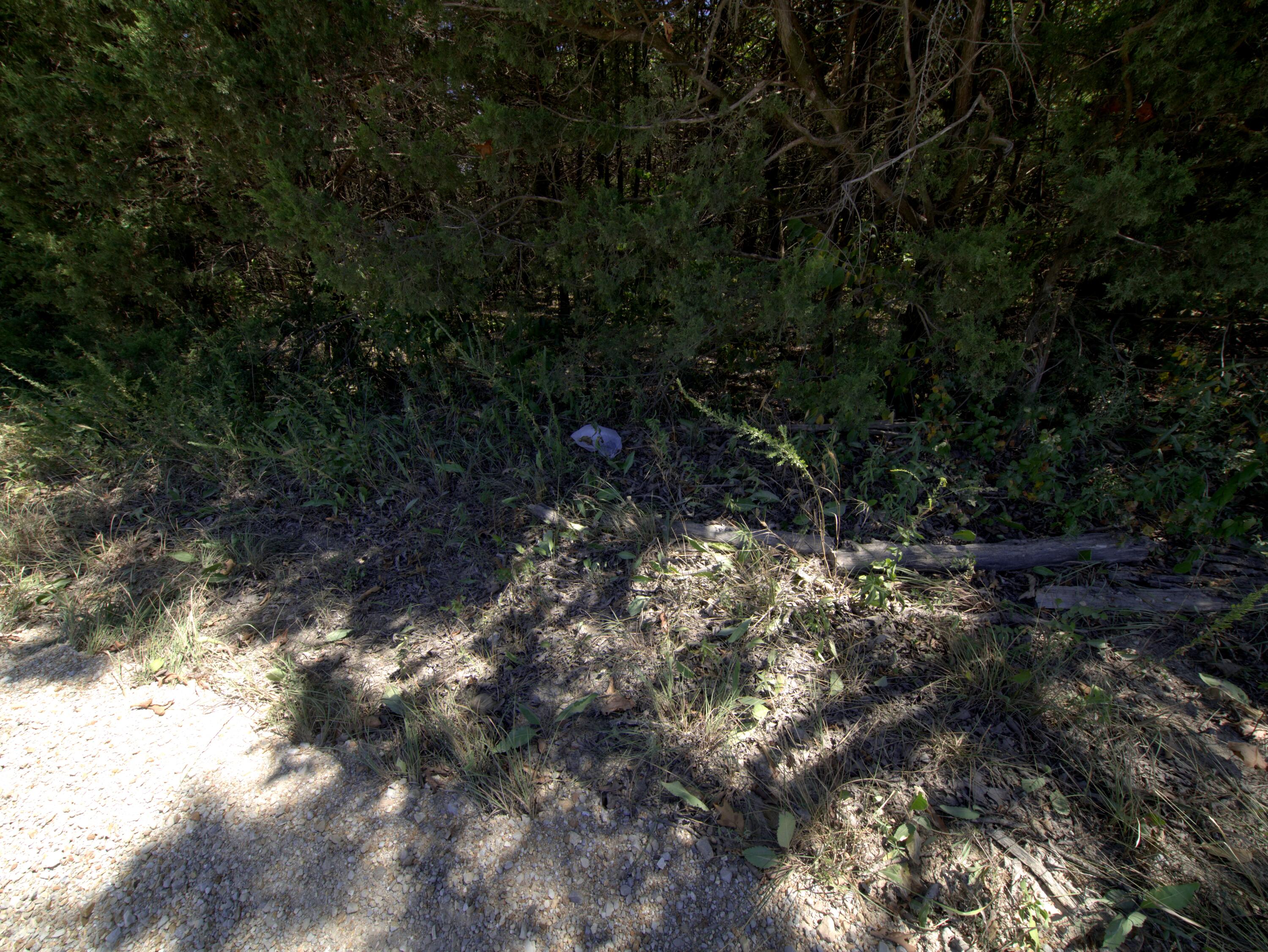 Tract 3&4 Simpson Rd Property Photo 15
