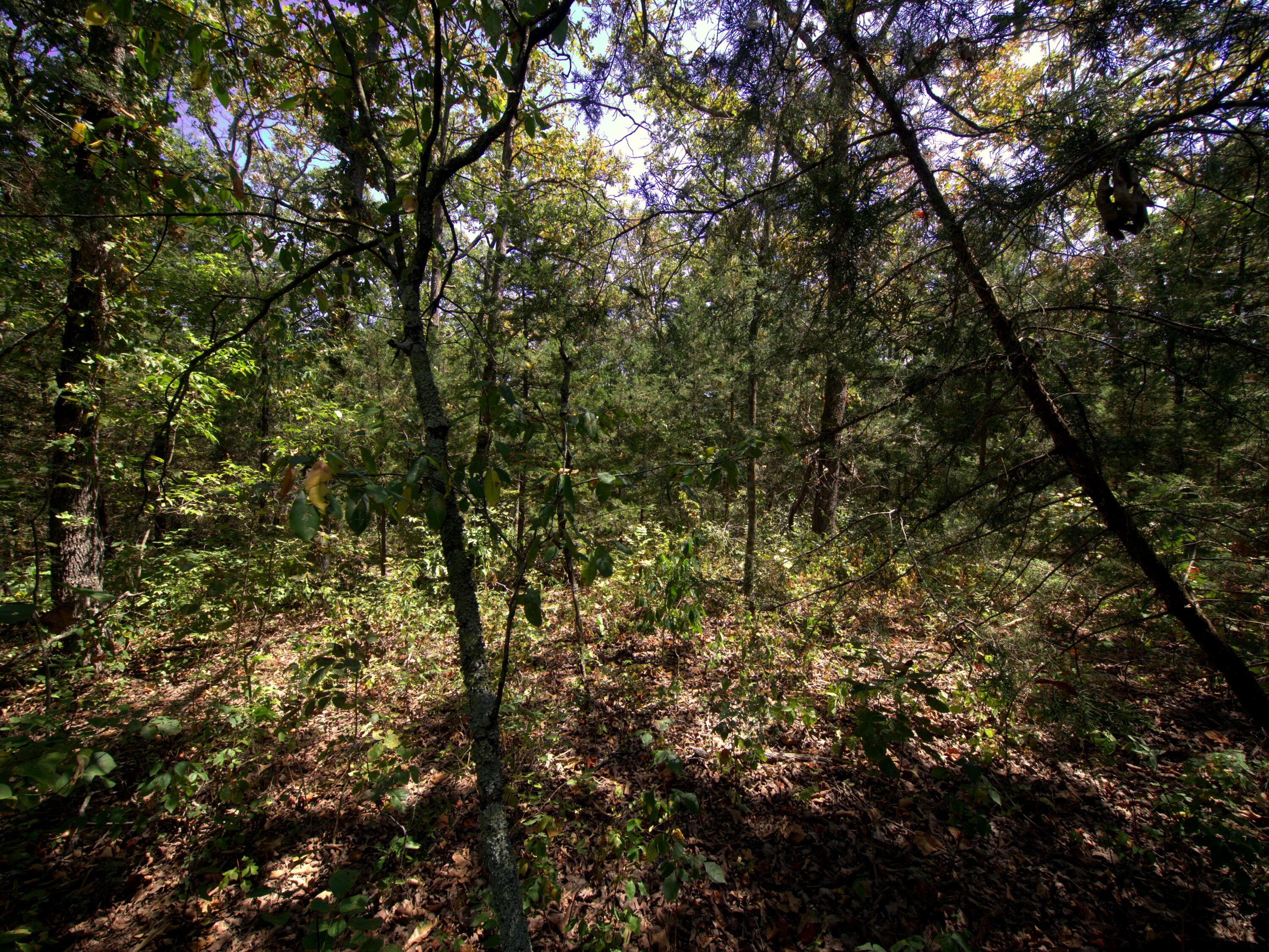 Tract 3&4 Simpson Rd Property Photo 18
