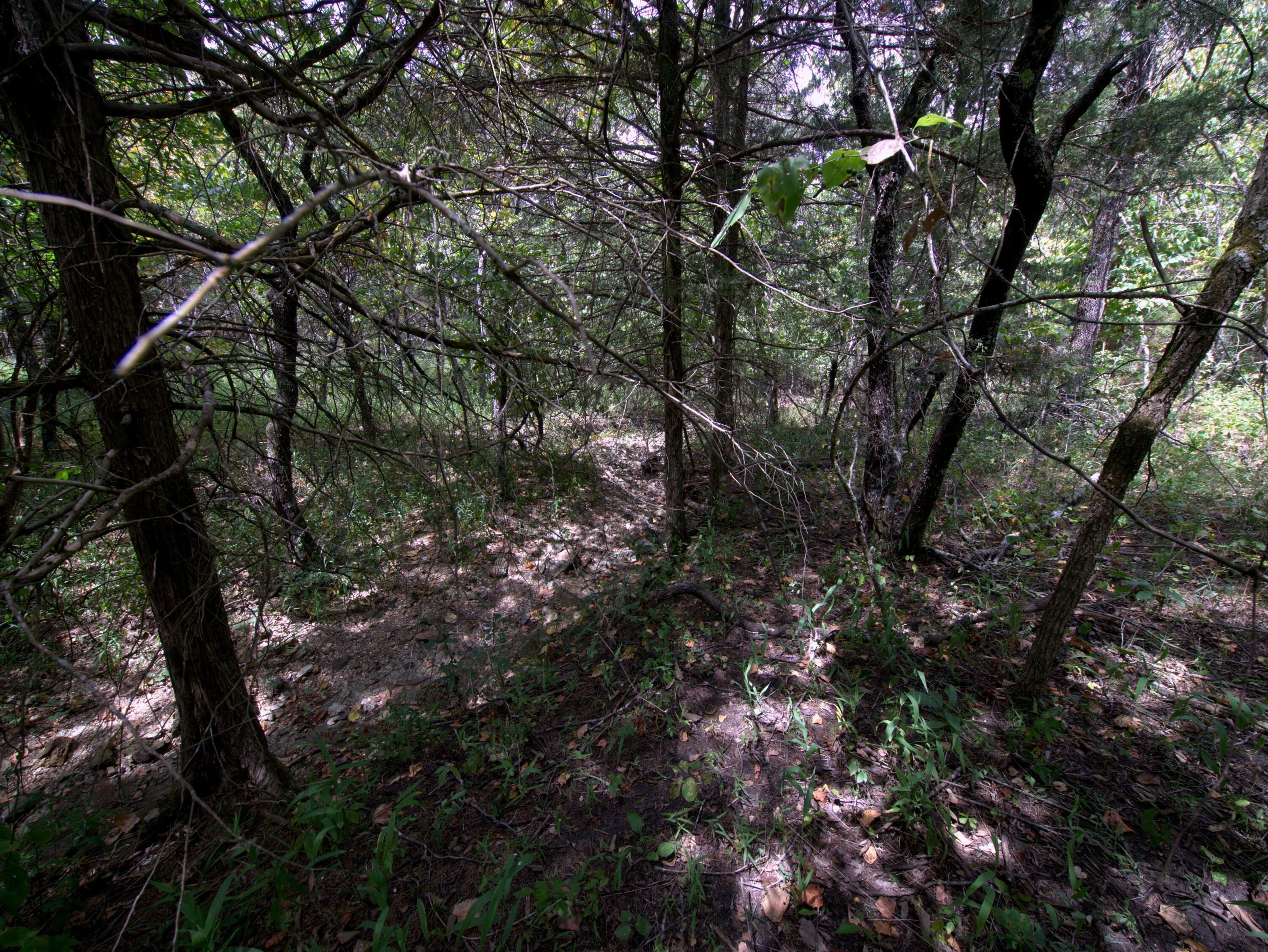 Tract 3&4 Simpson Rd Property Photo 19