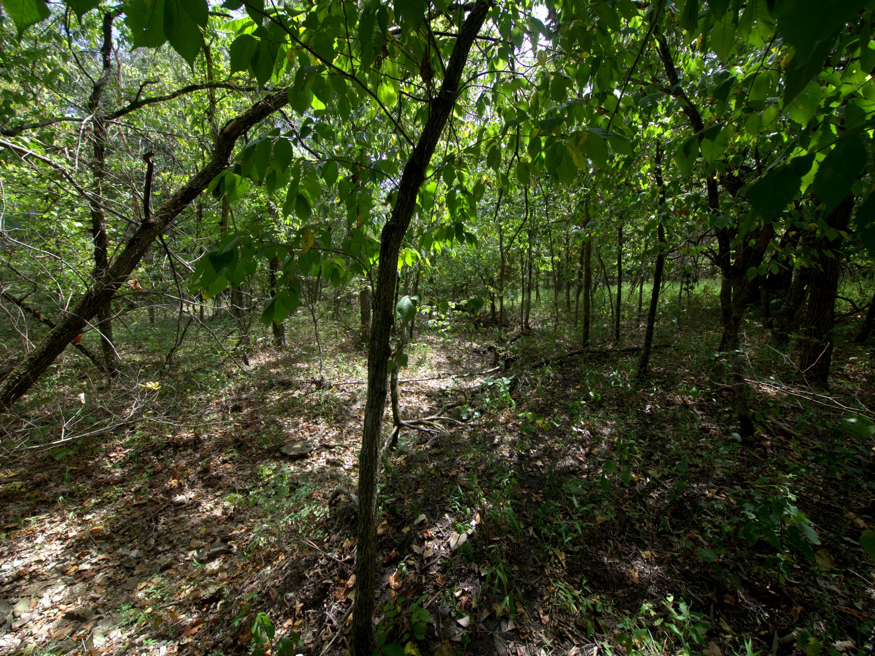Tract 3&4 Simpson Rd Property Photo 21