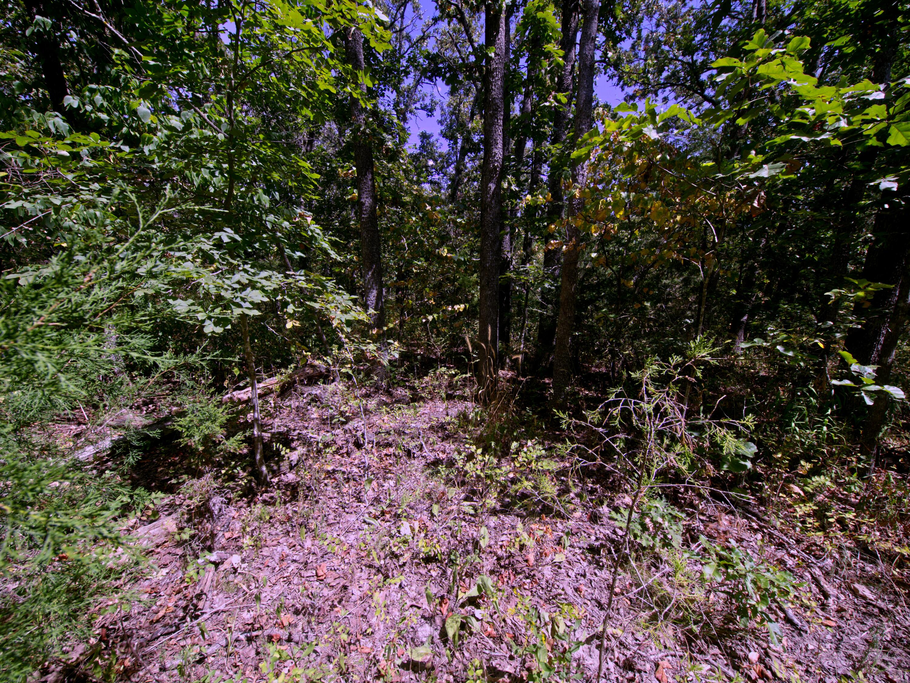 Tract 3&4 Simpson Rd Property Photo 23