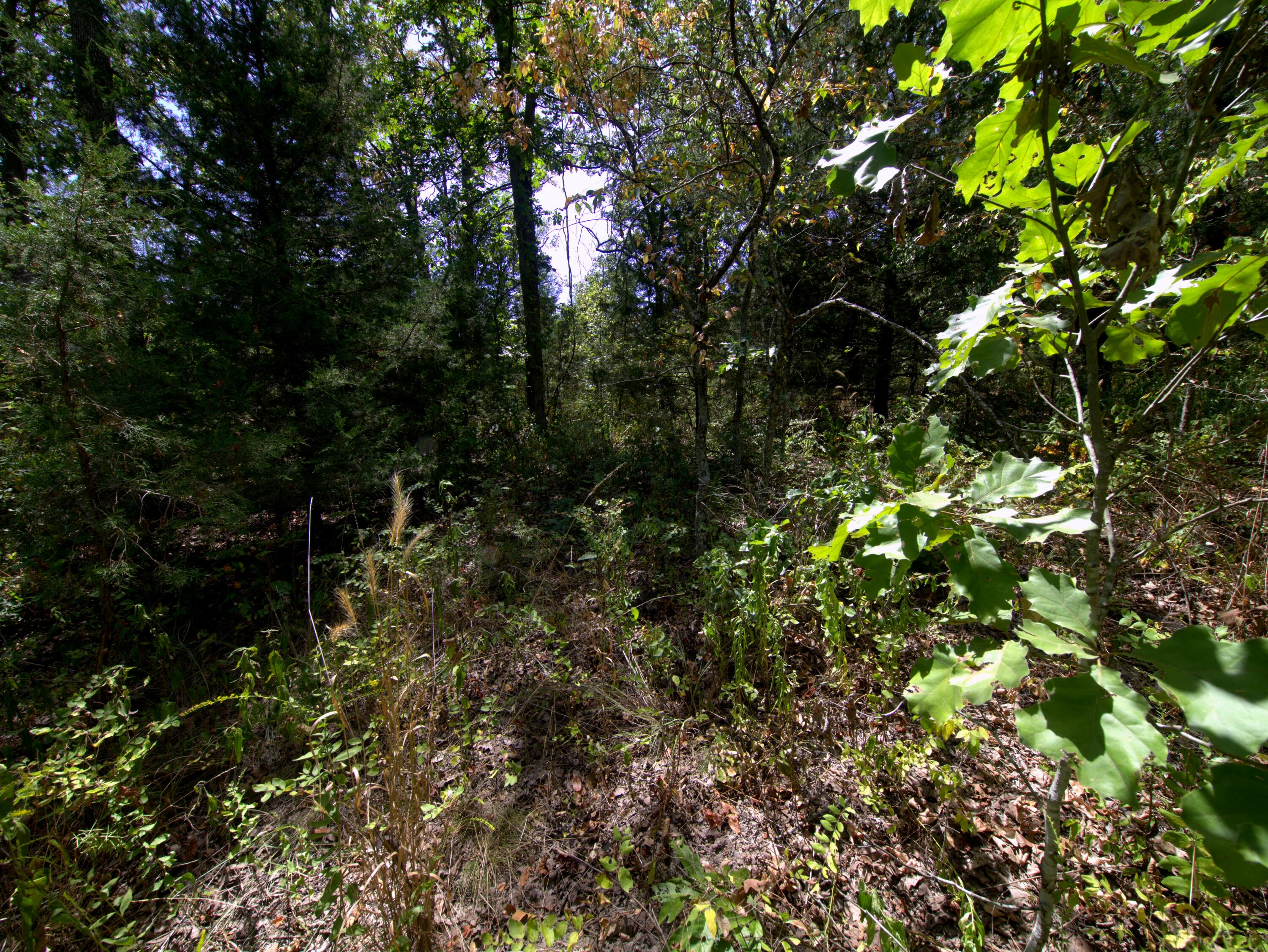 Tract 3&4 Simpson Rd Property Photo 24