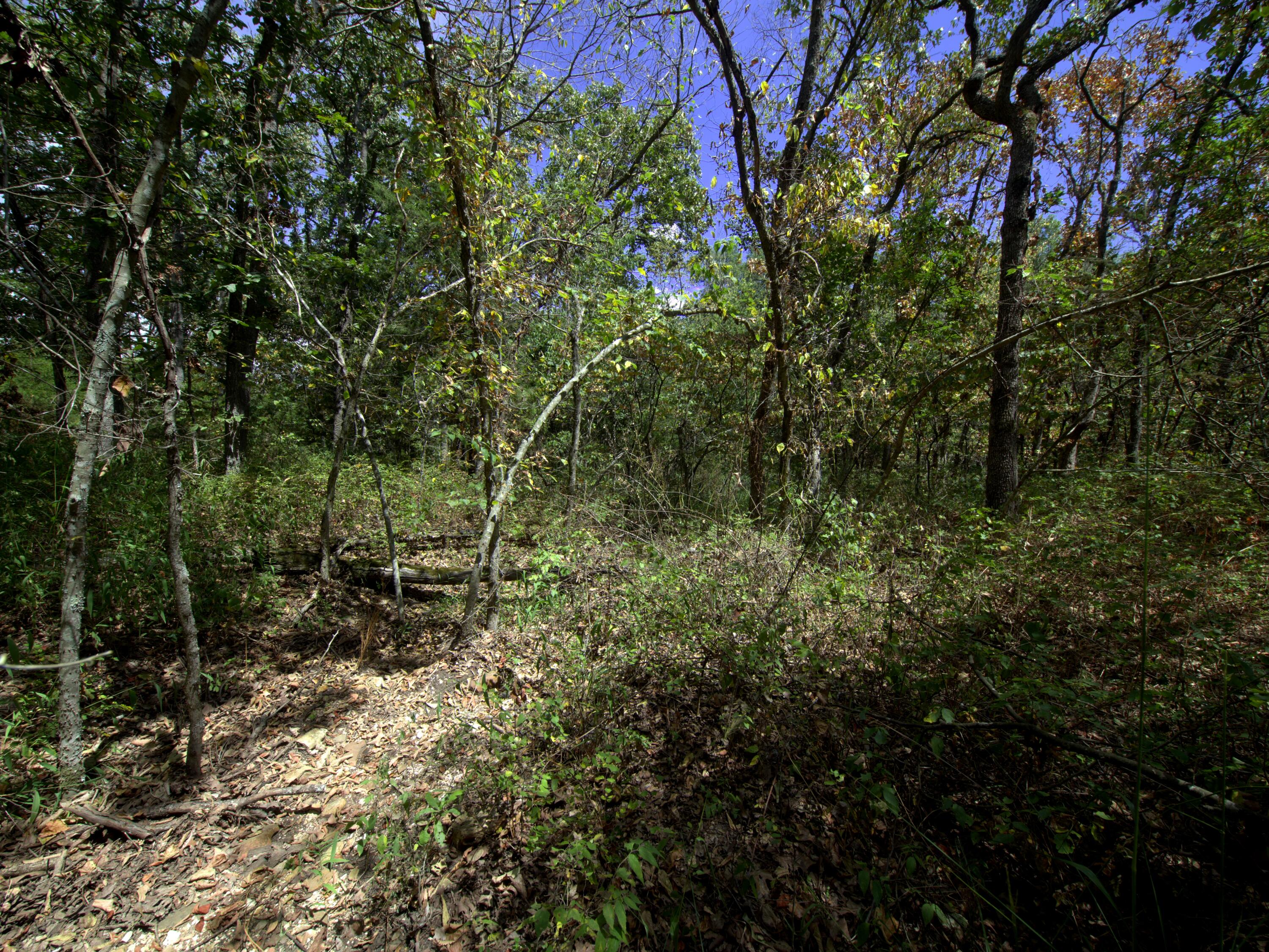 Tract 3&4 Simpson Rd Property Photo 25