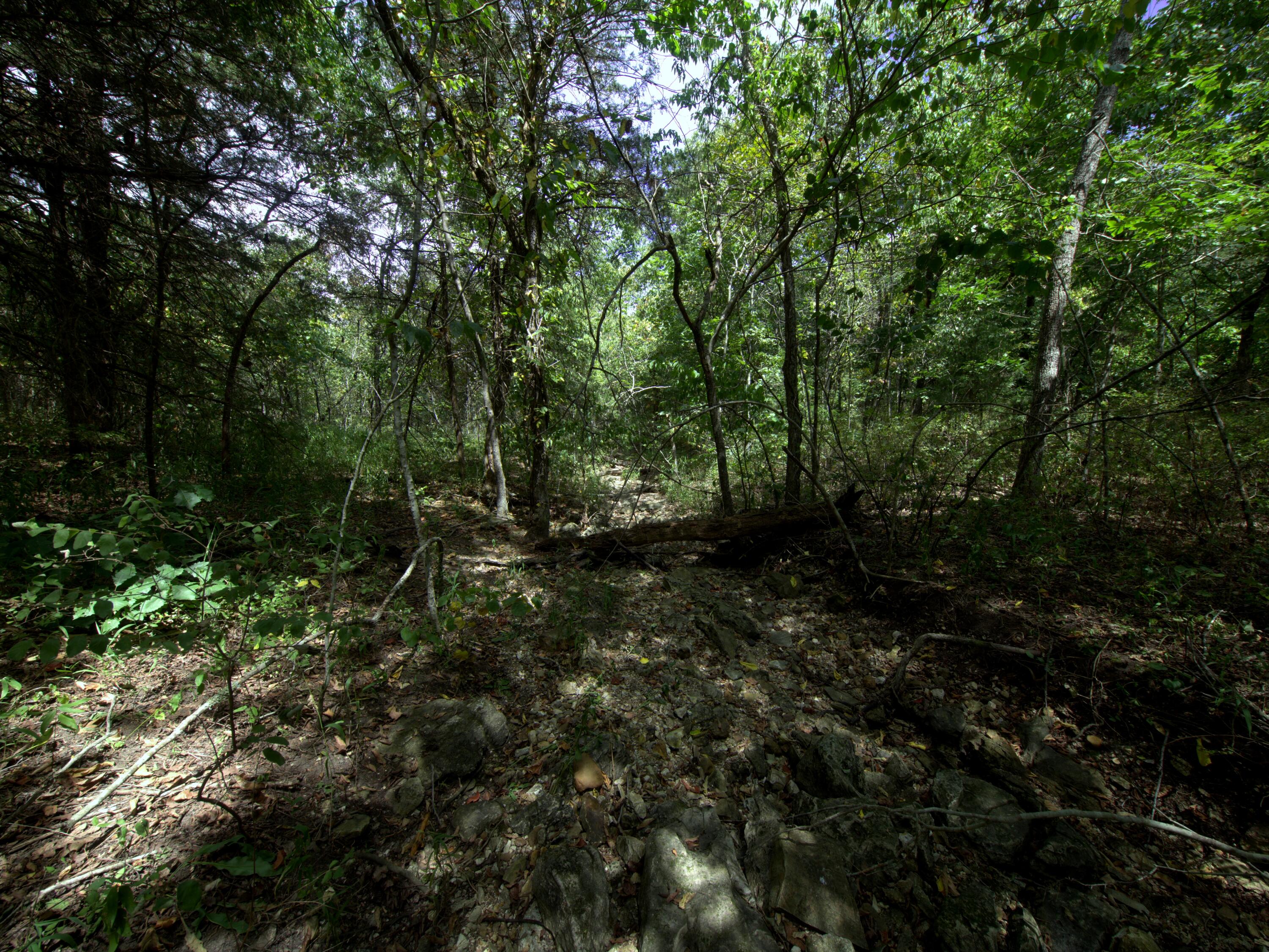 Tract 3&4 Simpson Rd Property Photo 26