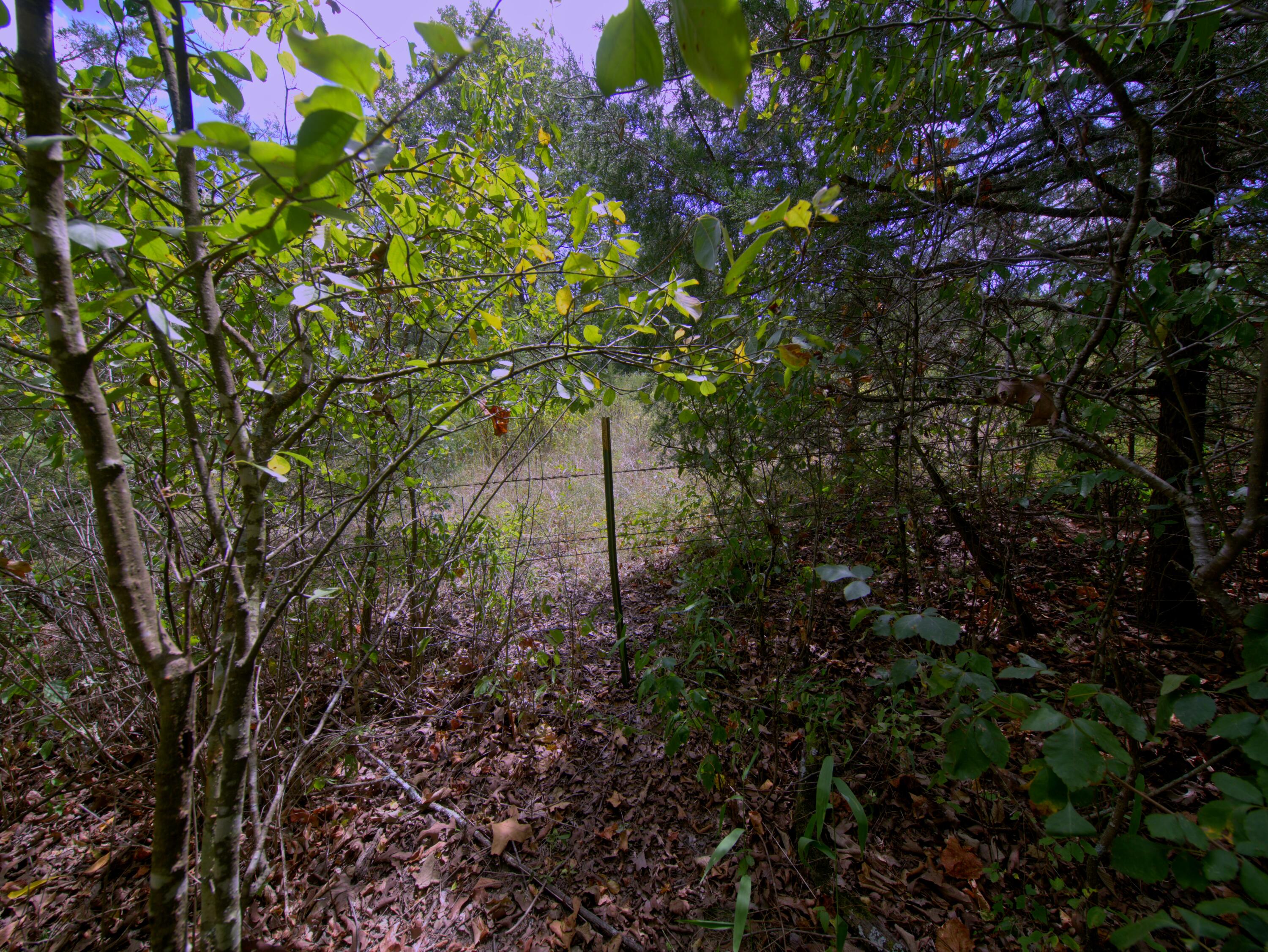 Tract 3&4 Simpson Rd Property Photo 31