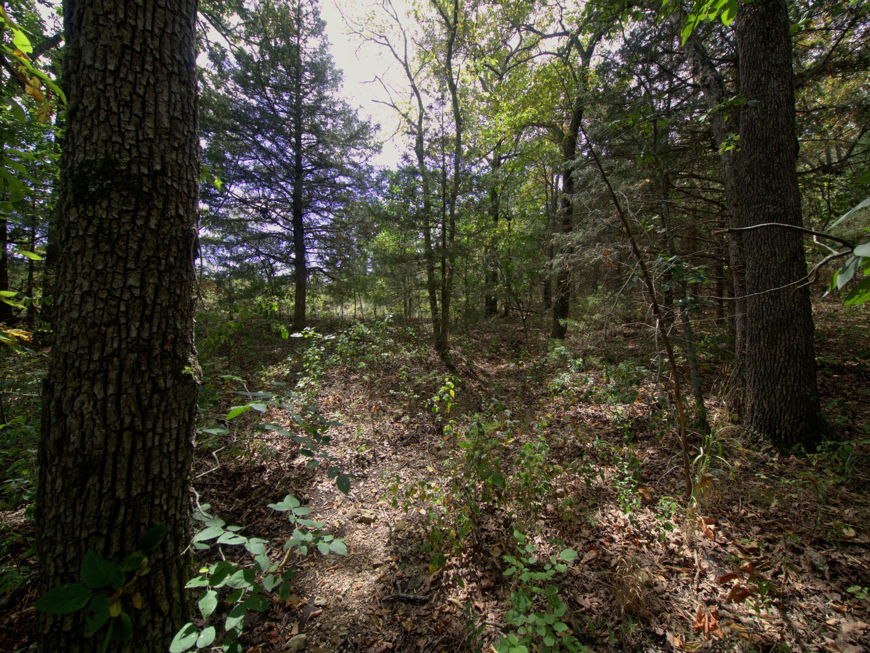 Tract 3&4 Simpson Rd Property Photo 32
