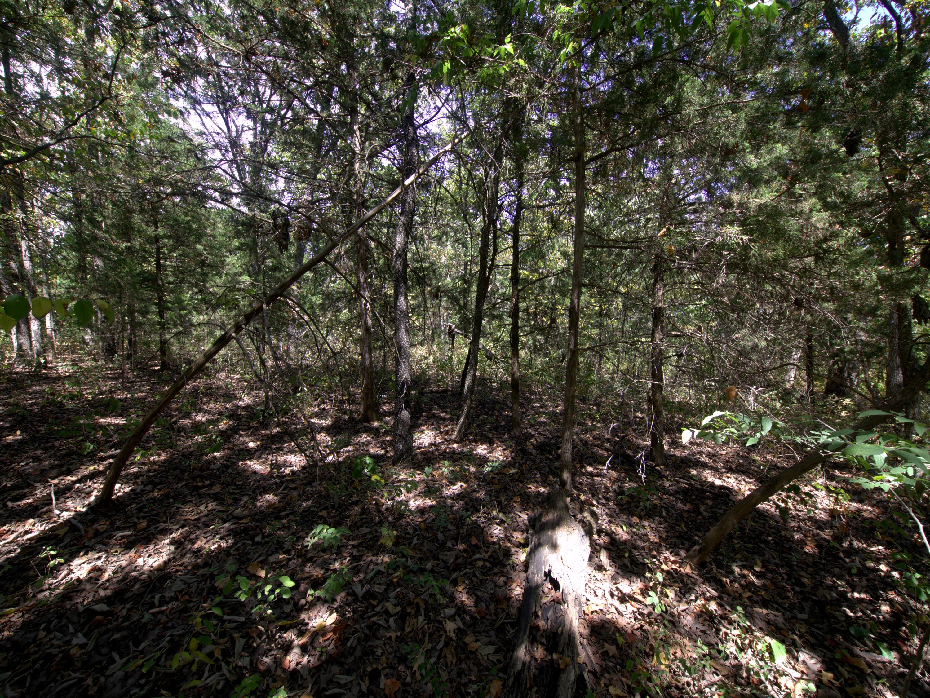 Tract 3&4 Simpson Rd Property Photo 33
