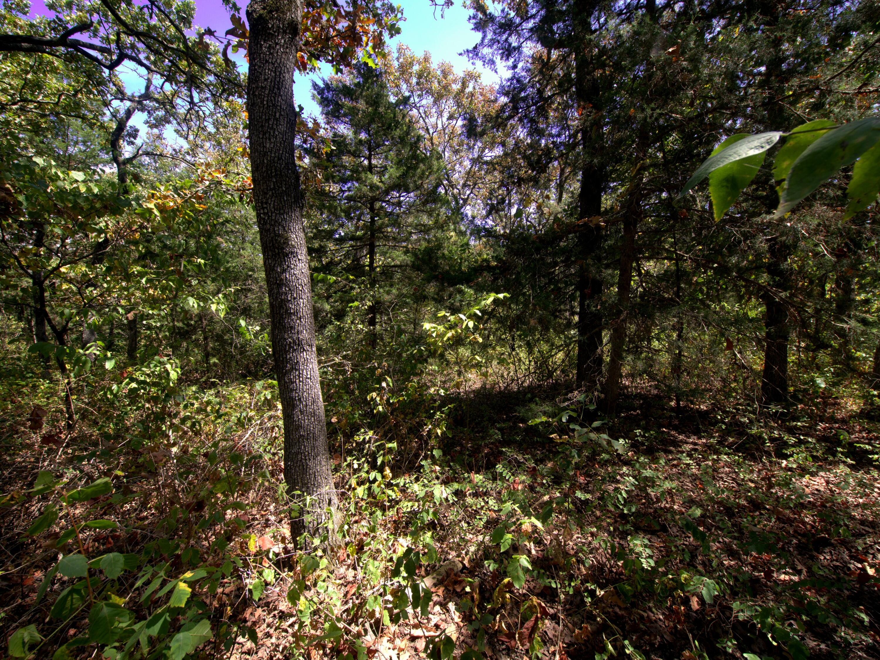 Tract 3&4 Simpson Rd Property Photo 34