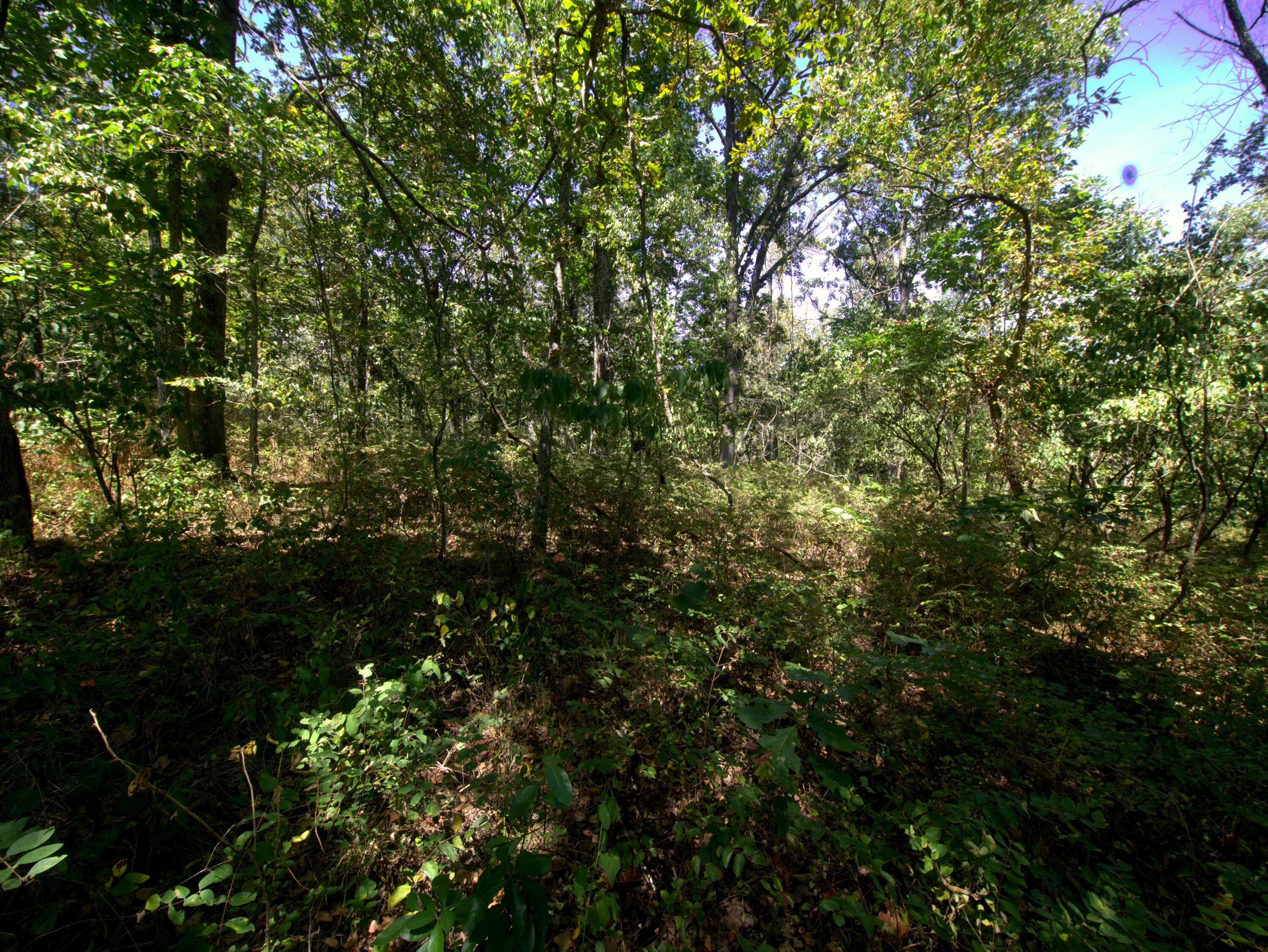 Tract 1-3 Simpson Rd Property Photo 25