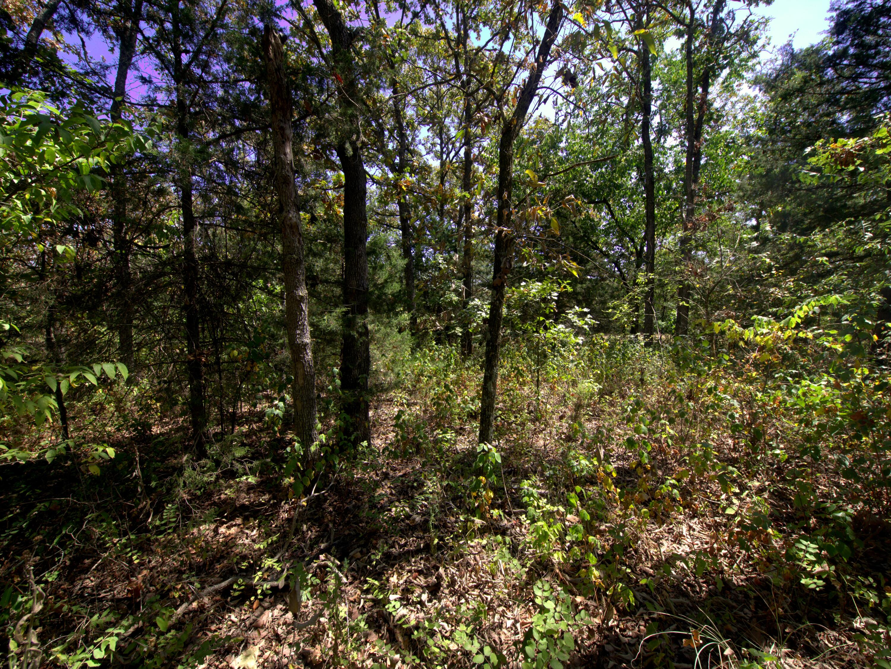 Tract 2-4 Simpson Rd Property Photo 1