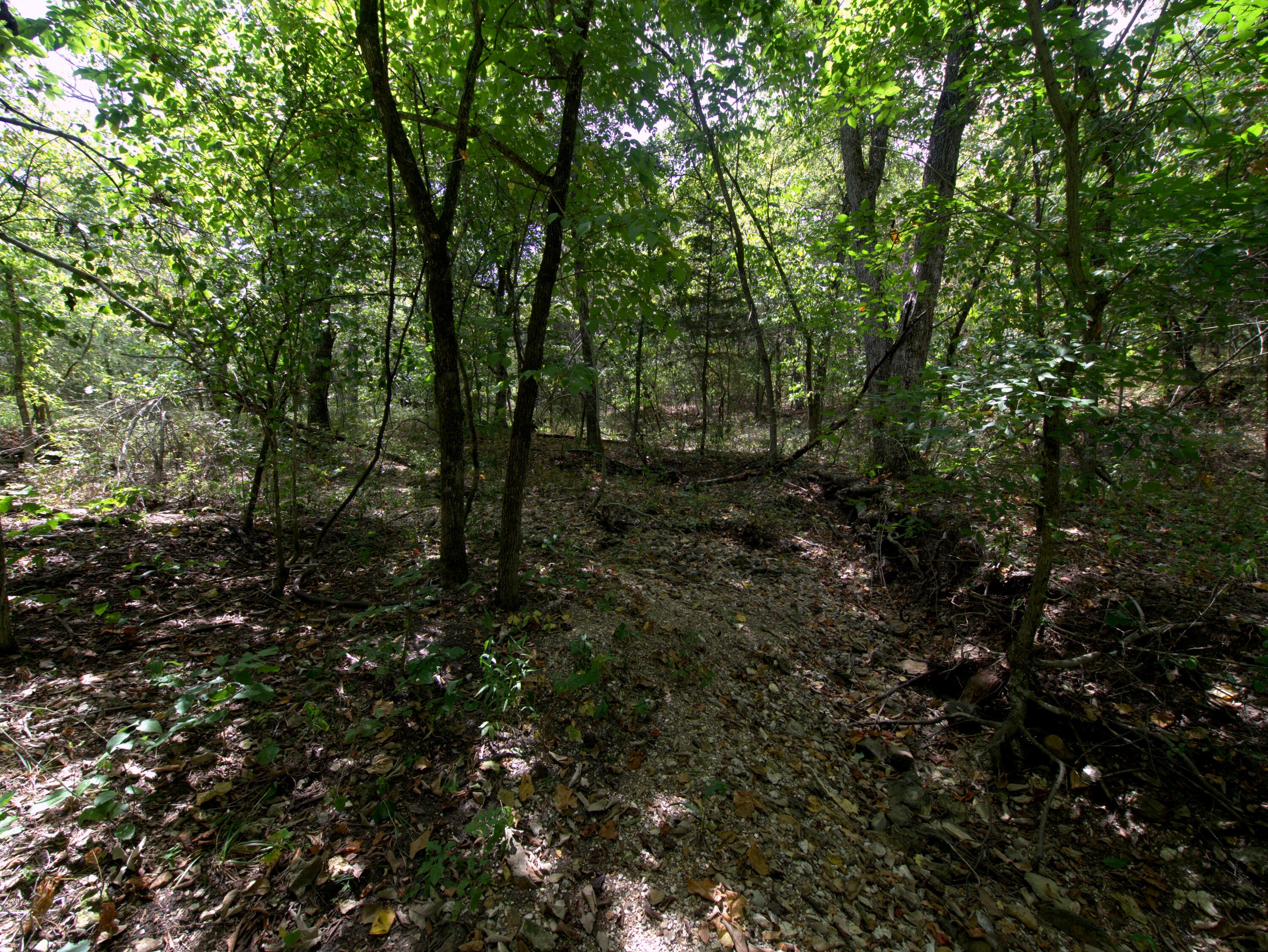 Tract 2-4 Simpson Rd Property Photo 4