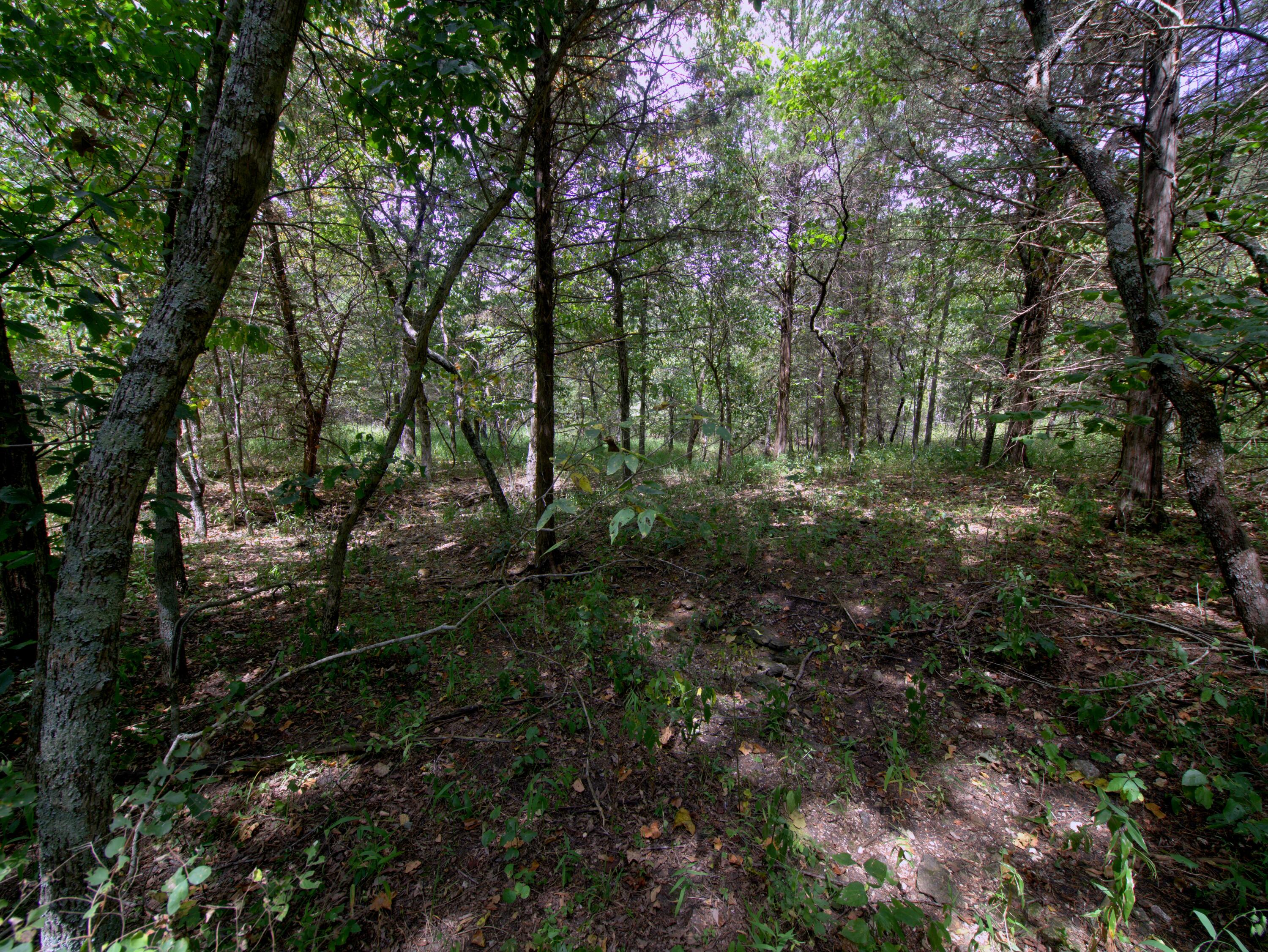 Tract 2-4 Simpson Rd Property Photo 11