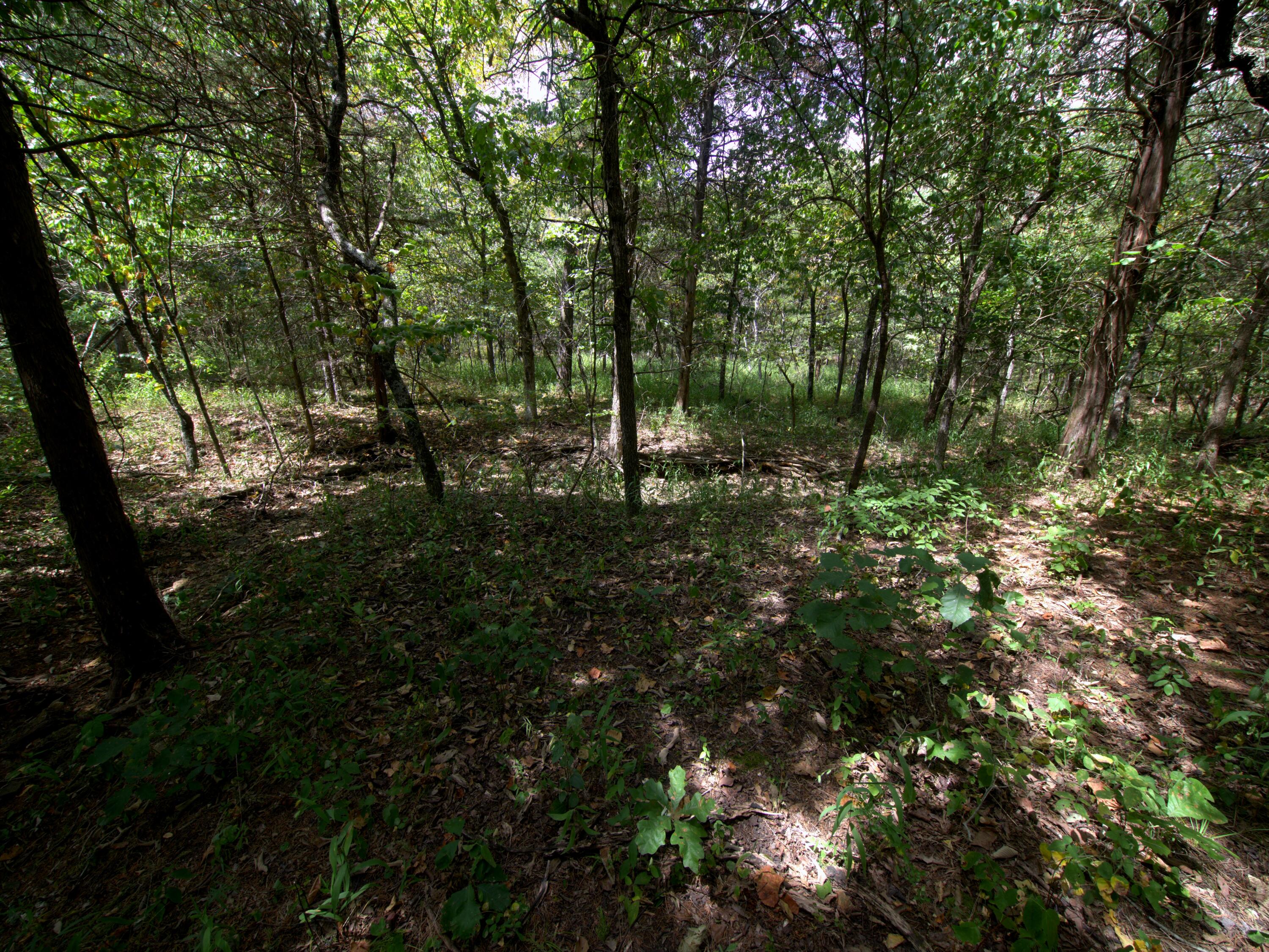 Tract 2-4 Simpson Rd Property Photo 12