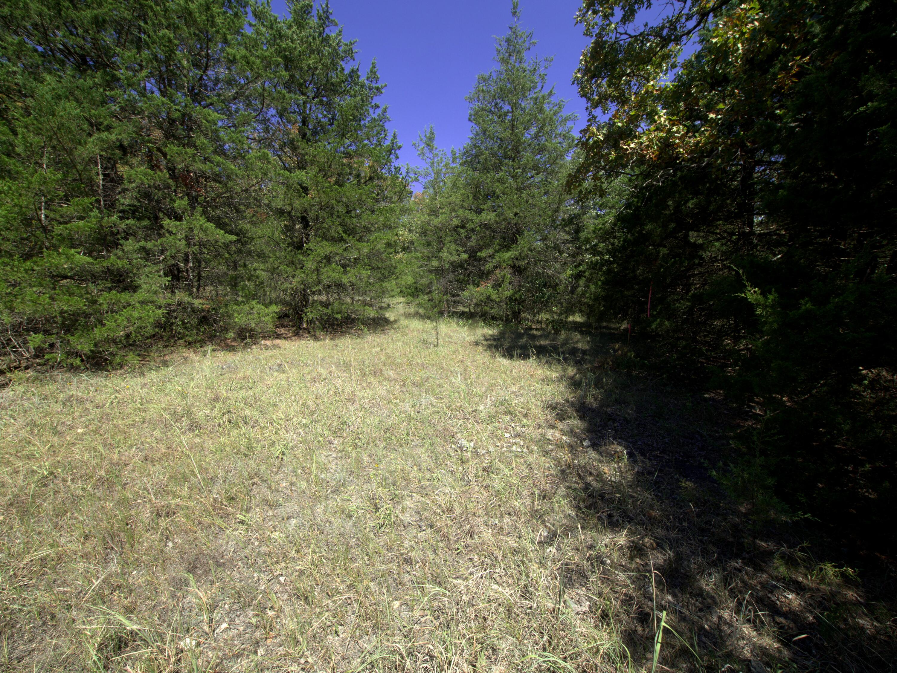 Tract 2-4 Simpson Rd Property Photo 37