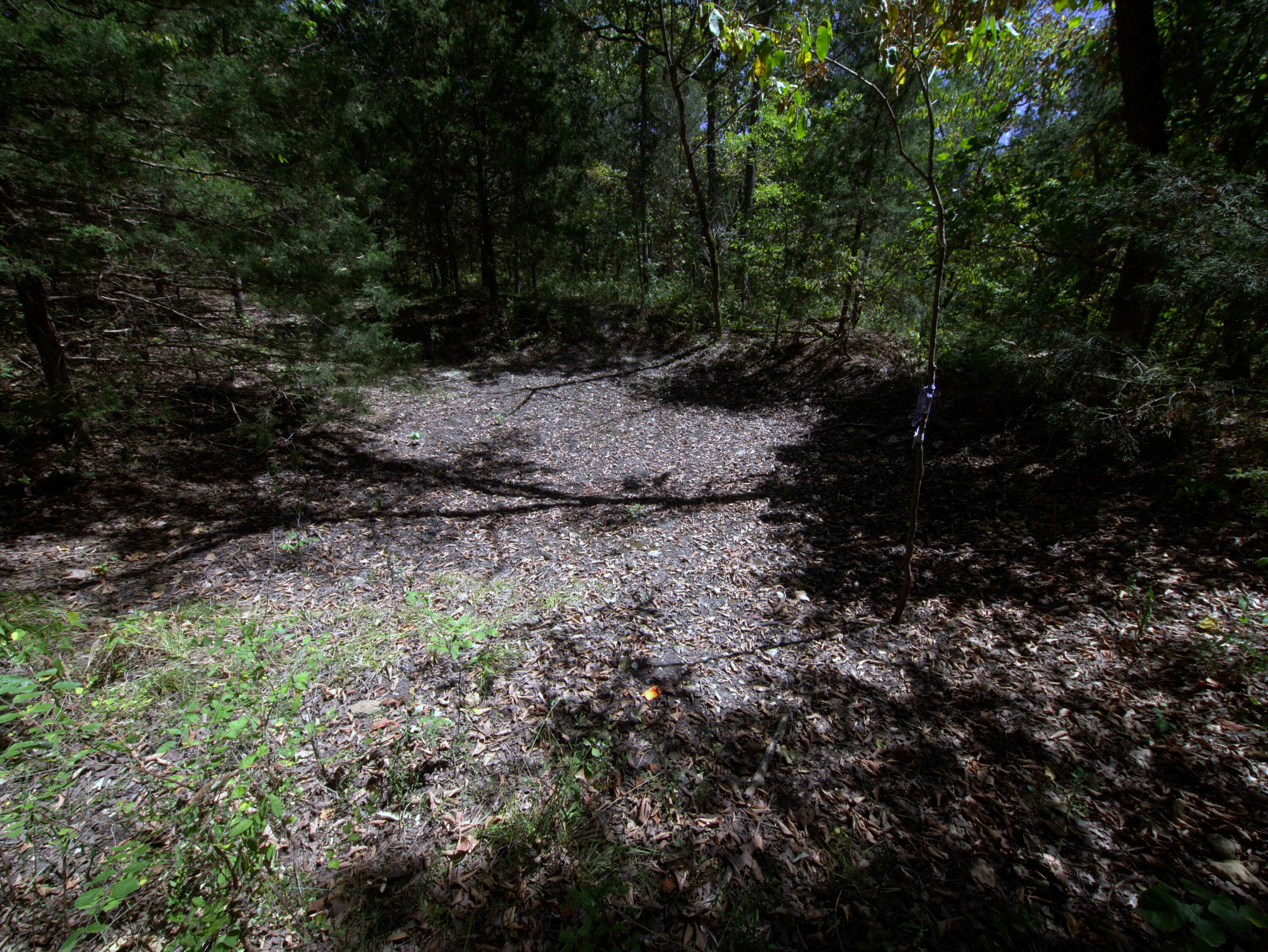 Tract 2-4 Simpson Rd Property Photo 41