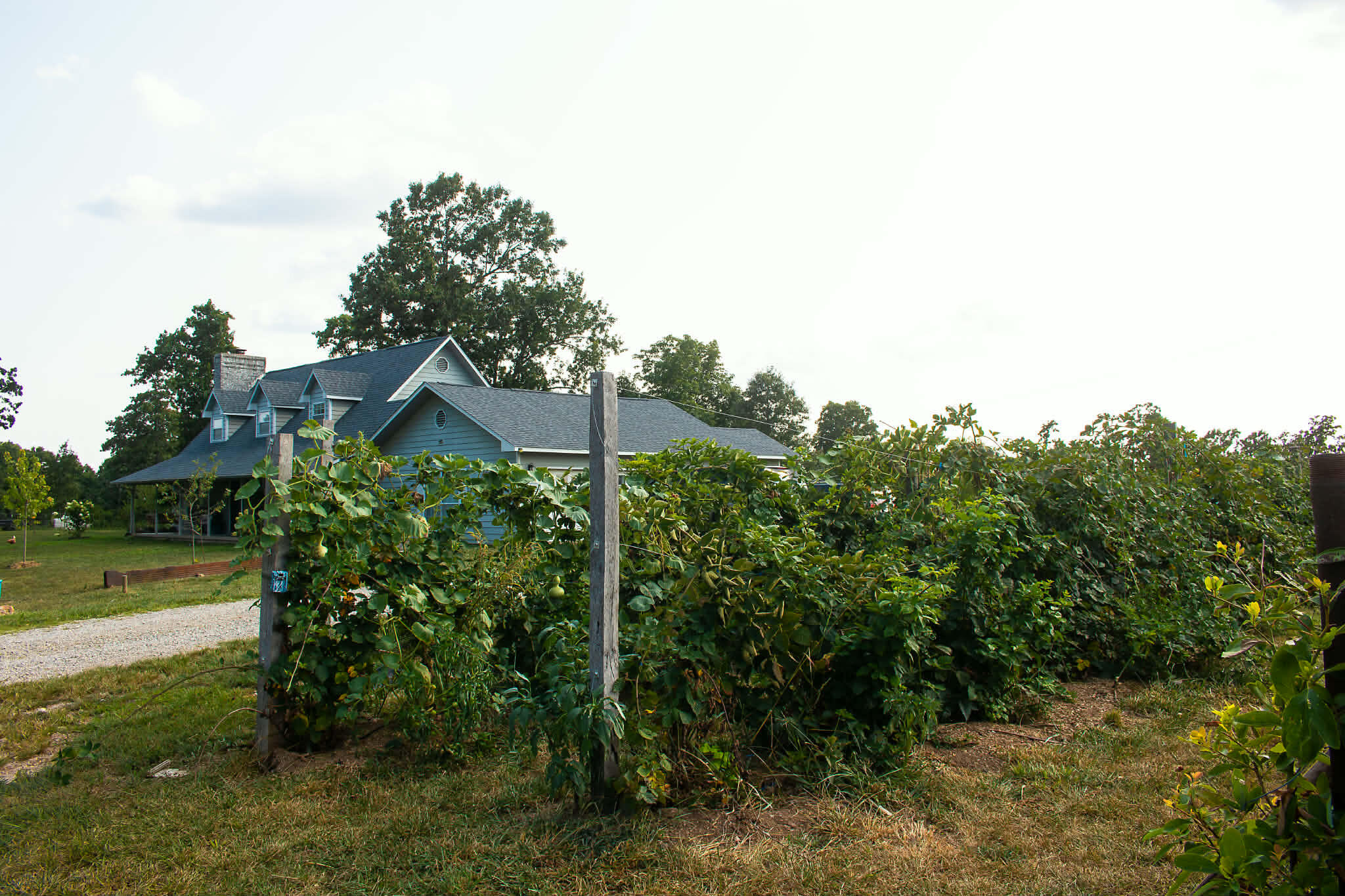 3339 U.s. 63 Property Photo 81