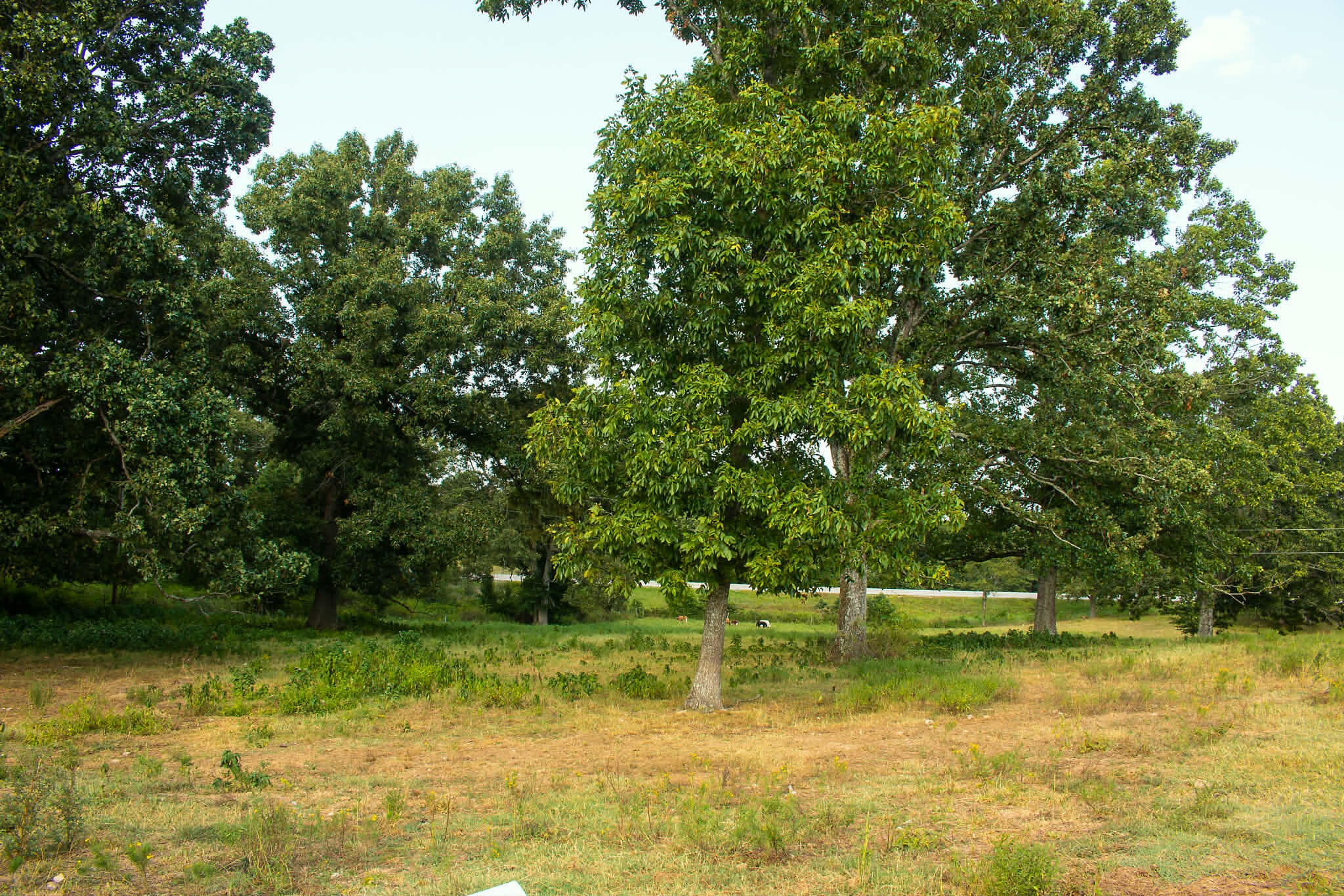3339 U.s. 63 Property Photo 86