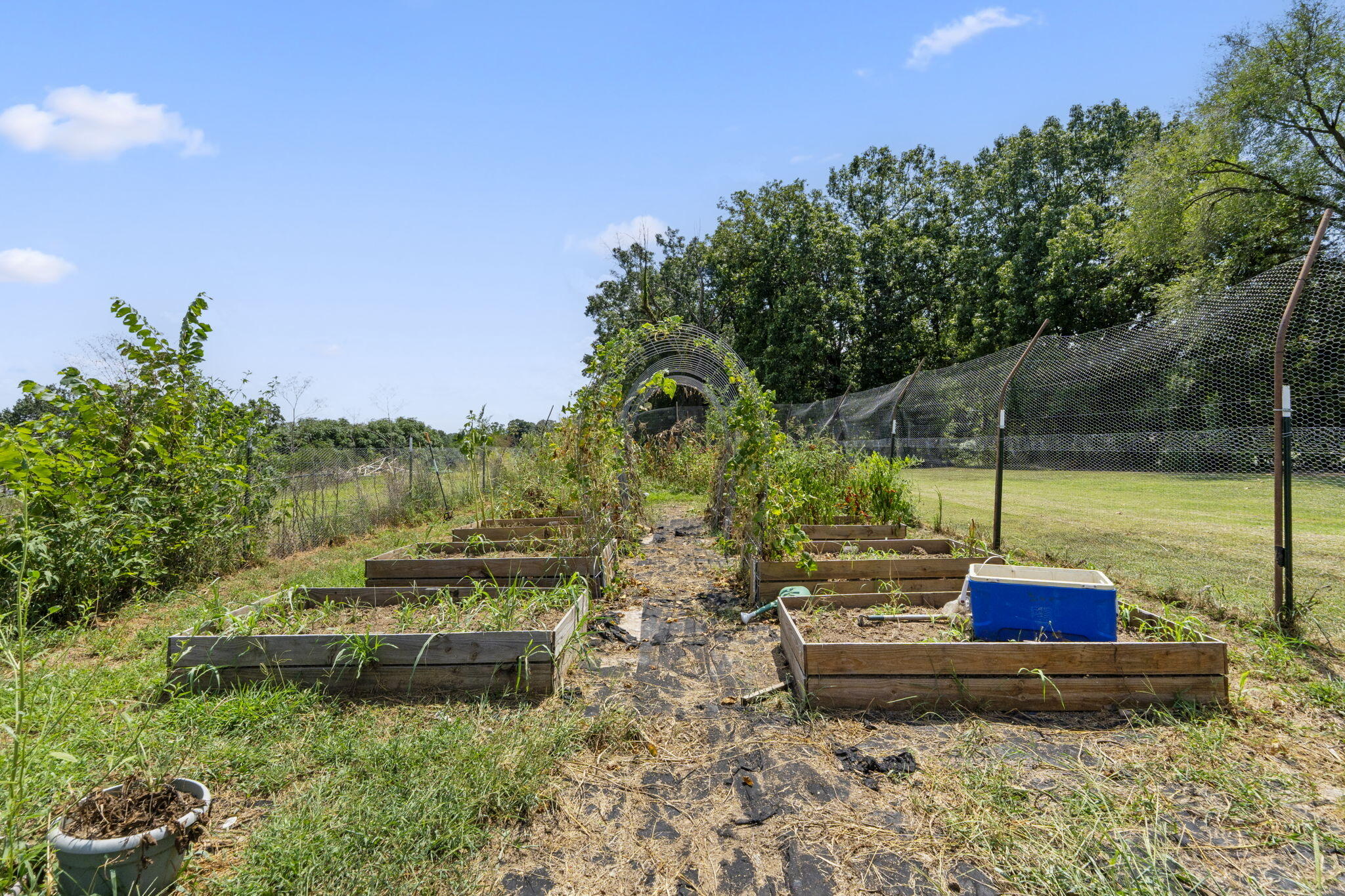 1548 State Highway Ff Property Photo 33