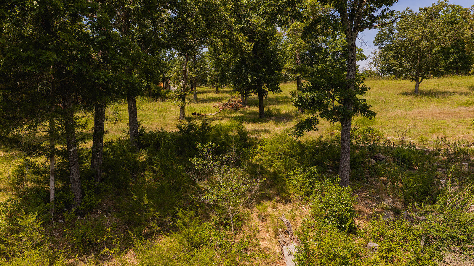 613 Lake Ranch Road Property Photo 6