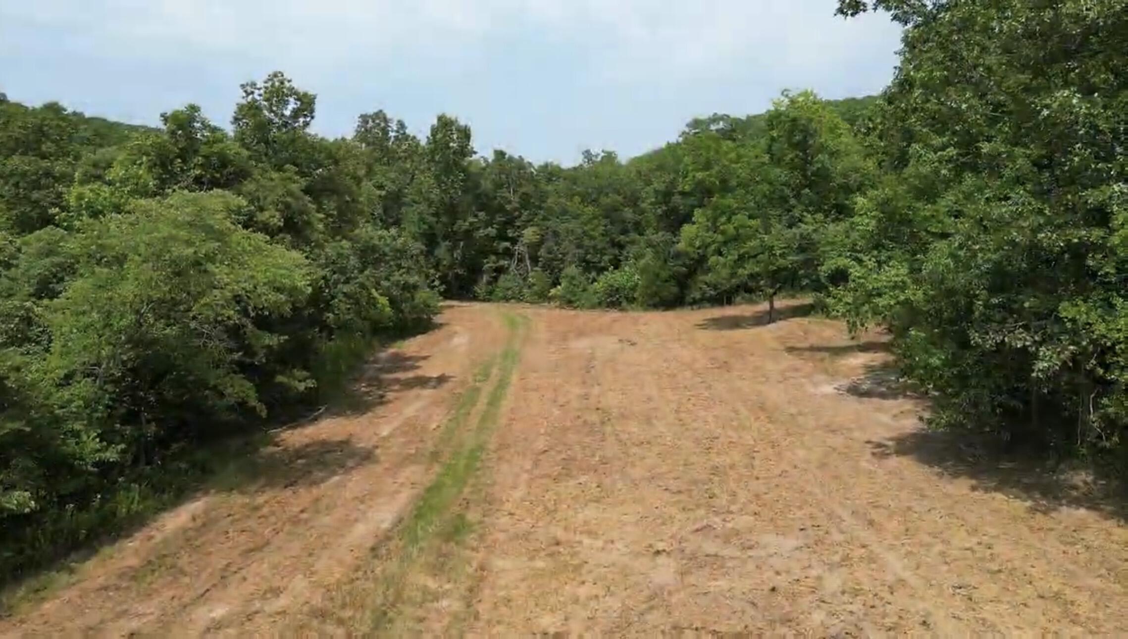 795 Anthony Road Property Photo 6