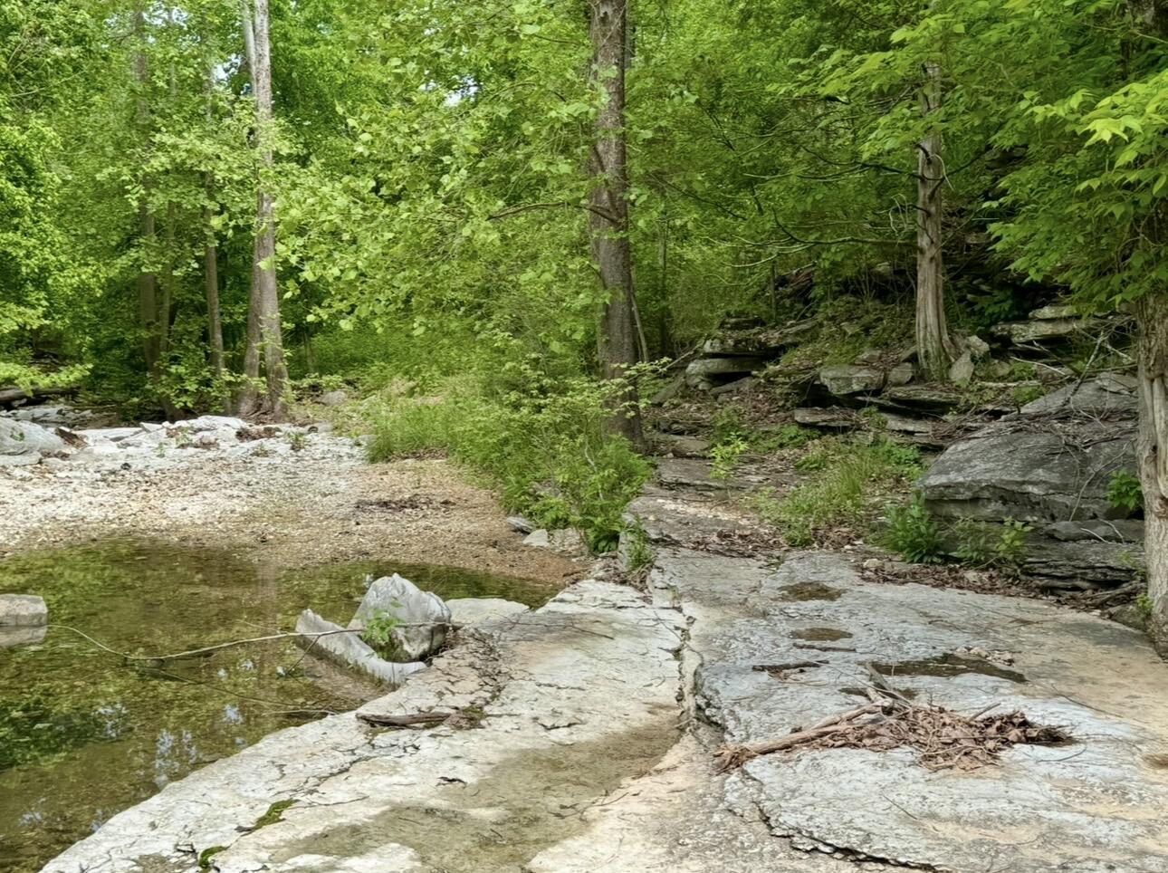 795 Anthony Road Property Photo 12