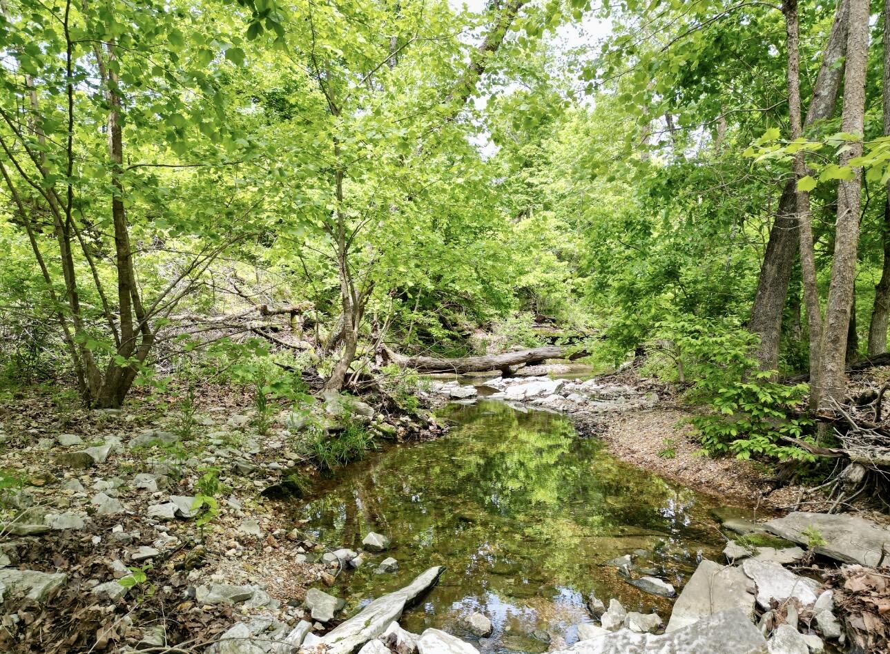 795 Anthony Road Property Photo 14