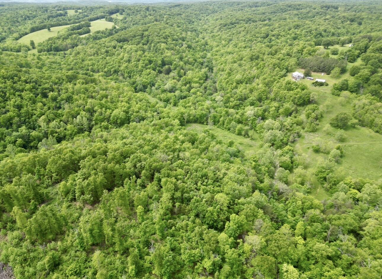 795 Anthony Road Property Photo 20