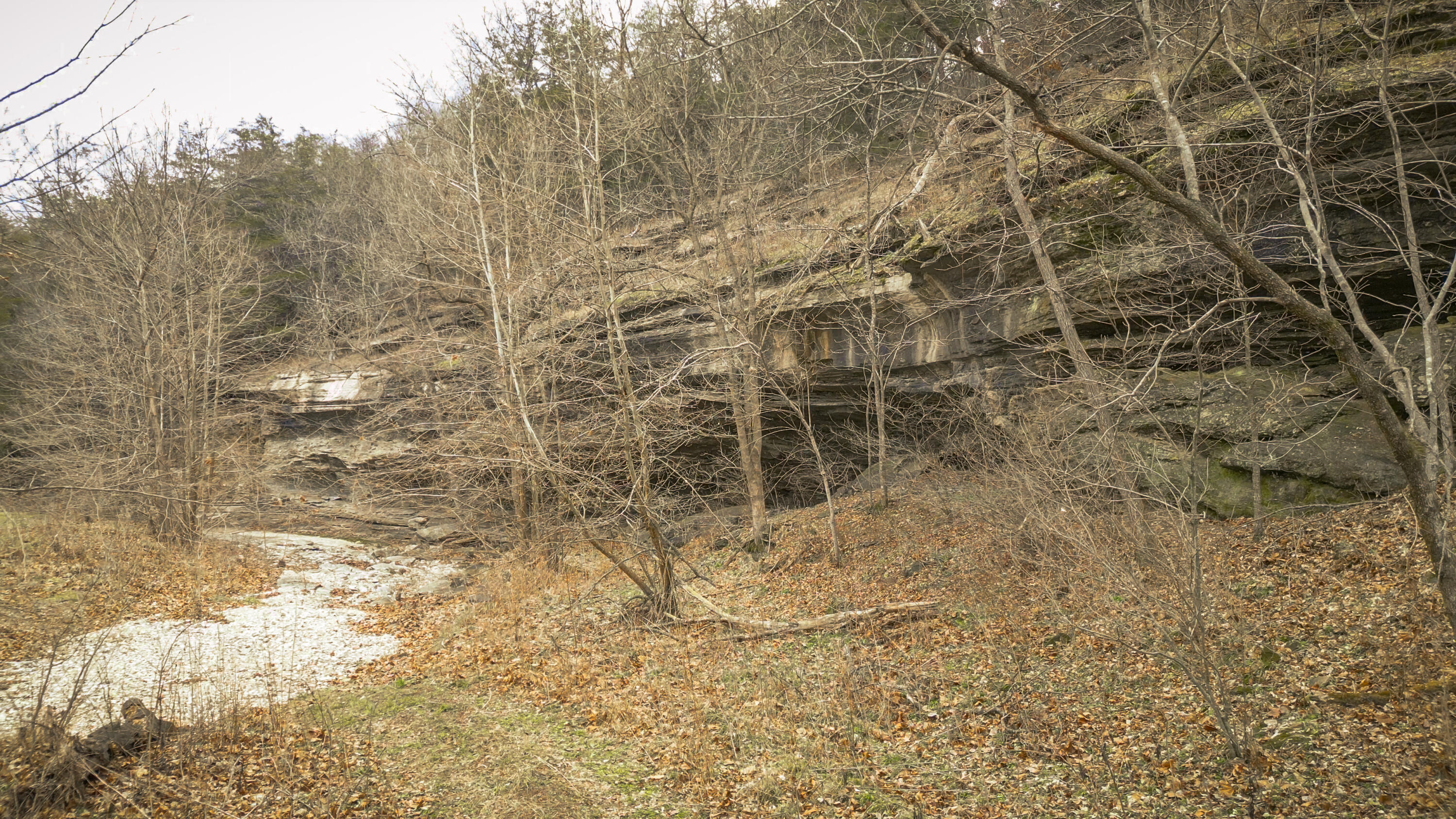 795 Anthony Road Property Photo 23